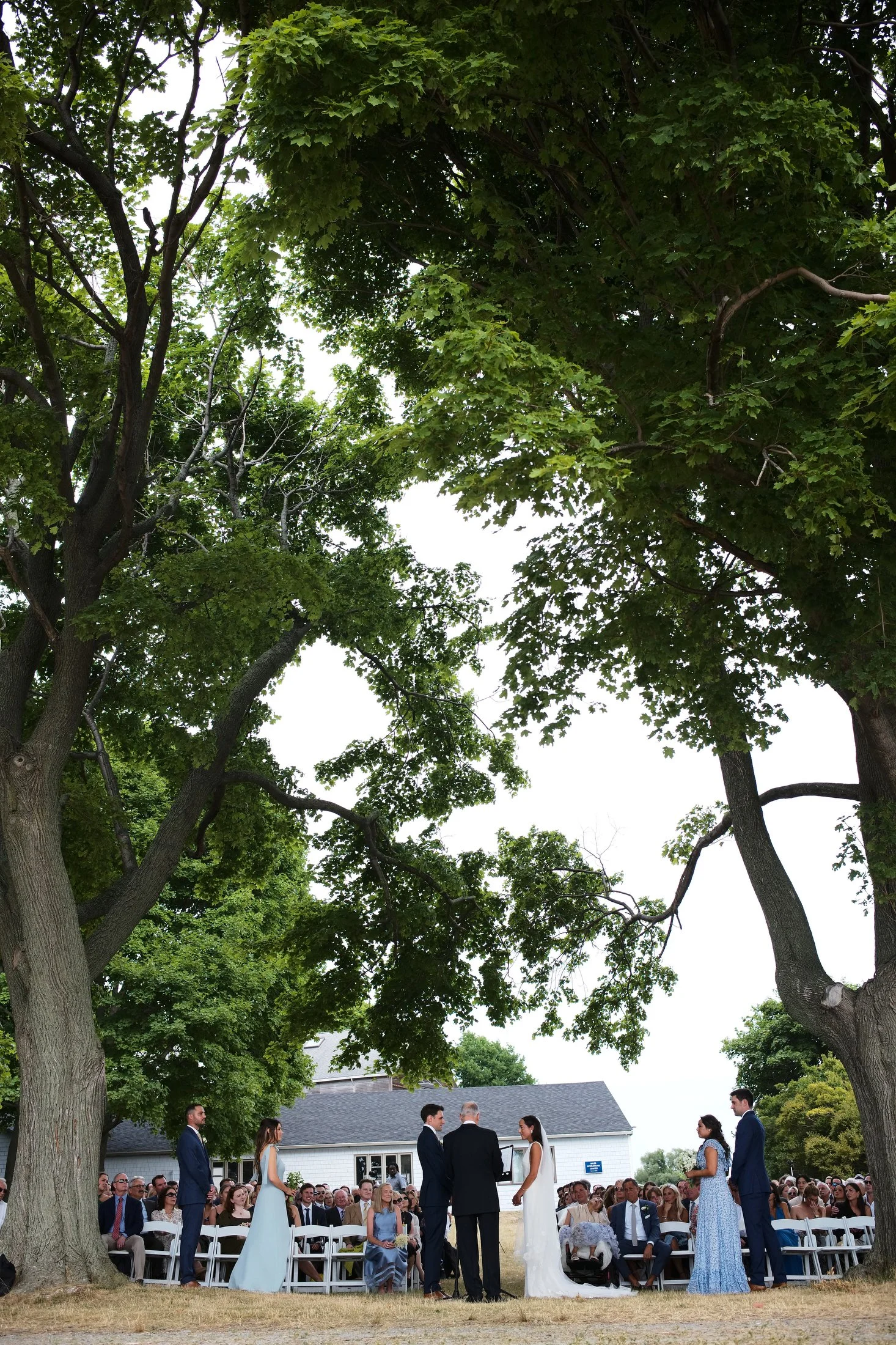 Outdoor wedding ceremony with a bride and groom, officiant, and bridal party, seated guests, and large trees providing shade.