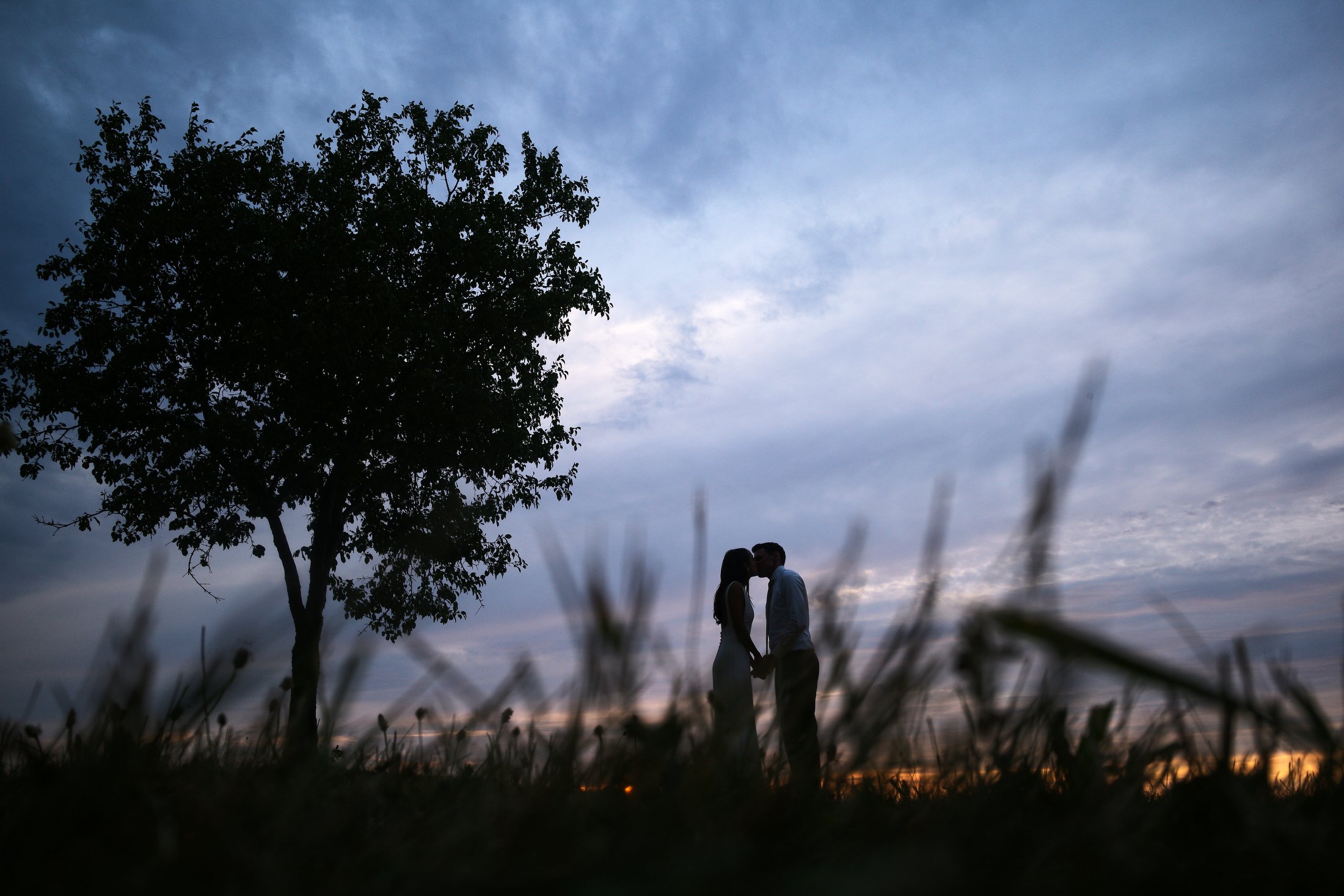 A couple holding hands and kissing at sunset or dusk outdoors, with a large tree and a cloudy sky in the background.