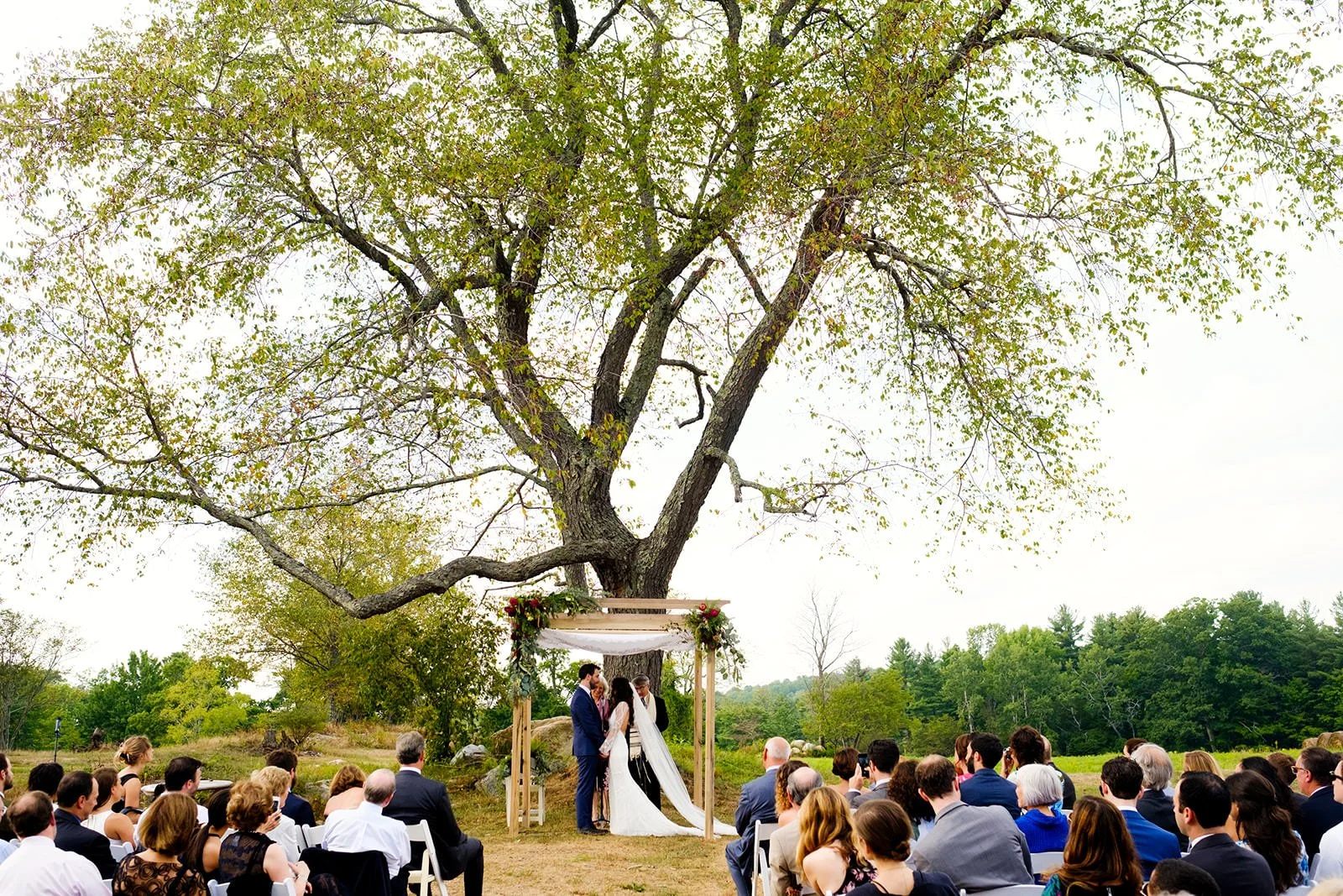 Wedding ceremony outdoors under a large tree with a wooden arch decorated with flowers, with guests seated on chairs watching the couple exchange vows.