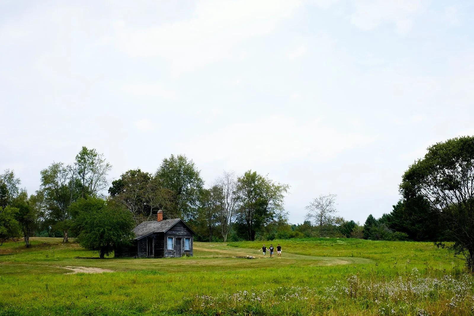 A vast green field with an old wooden house and a few trees. Three people walking in the distance.