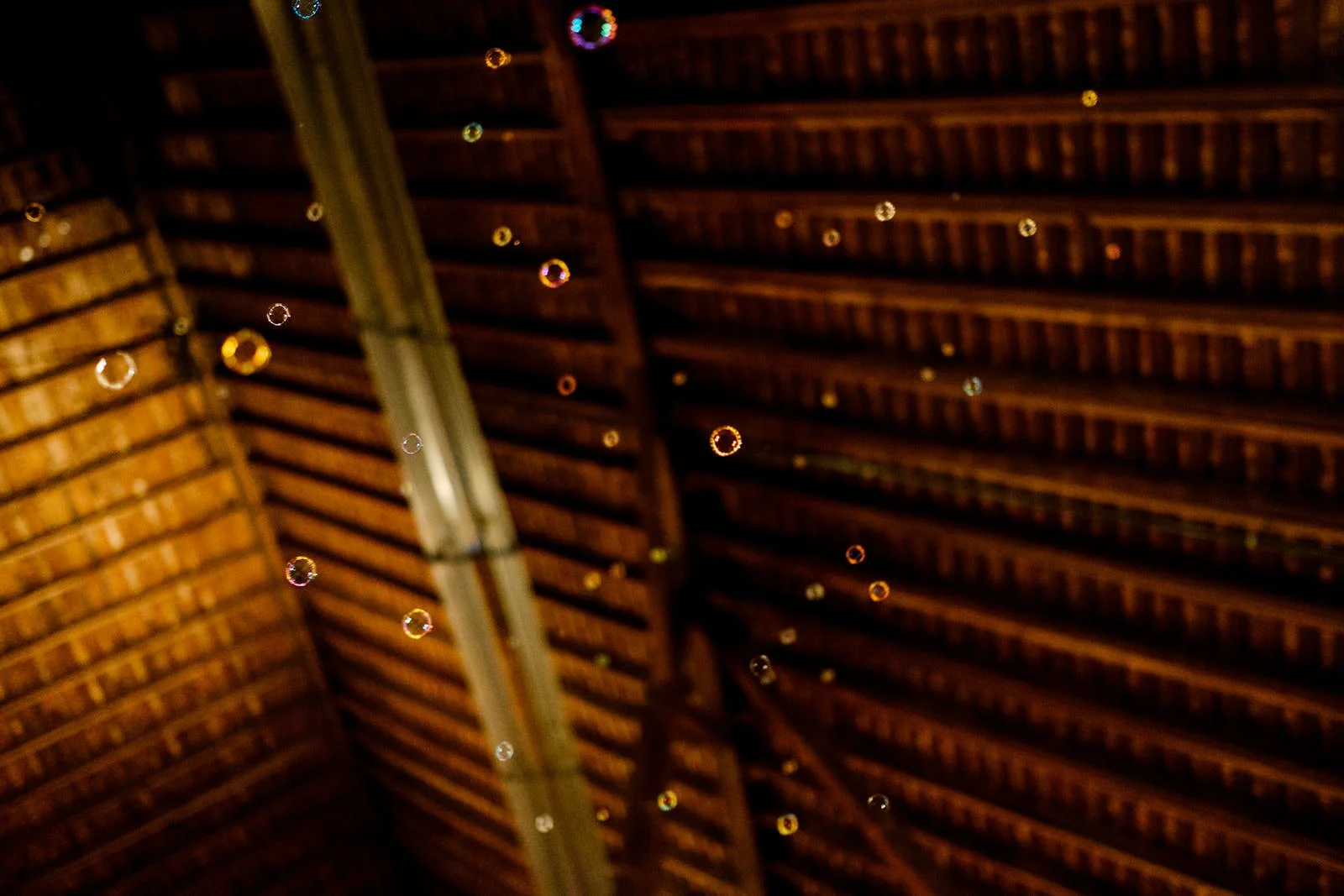 Water droplets on a curved glass surface with a wooden ceiling in the background.