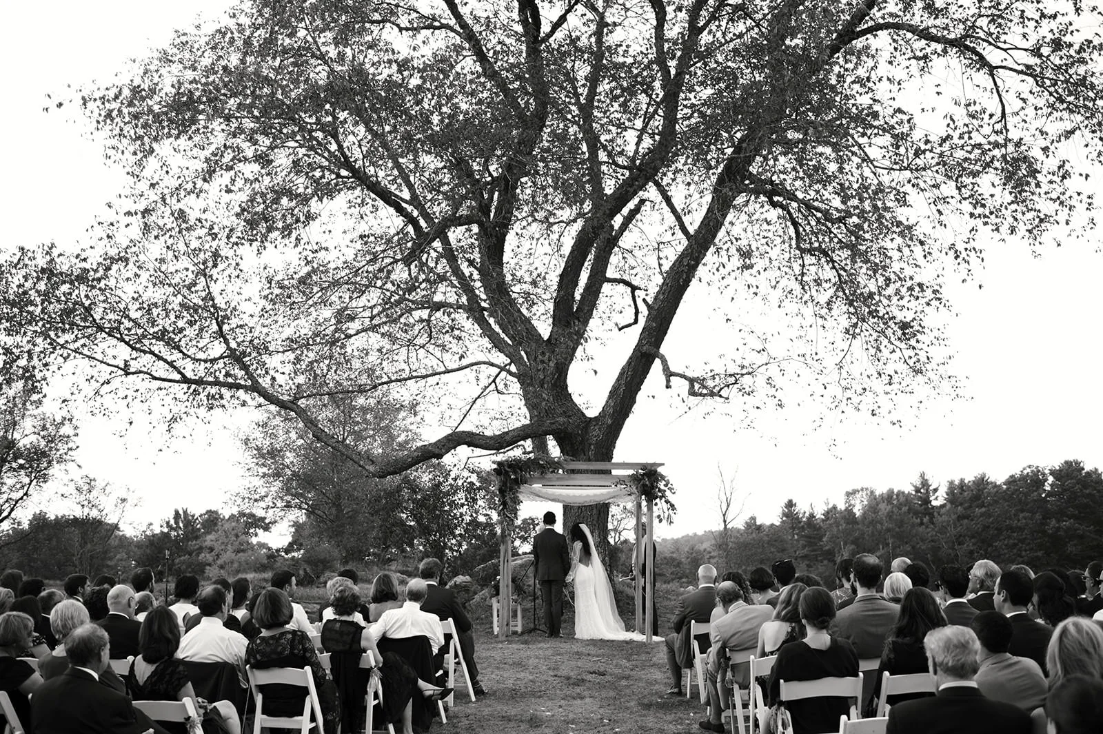 Black and white photograph of a wedding ceremony taking place outdoors under a large tree, with guests seated in rows facing the couple standing at an altar.