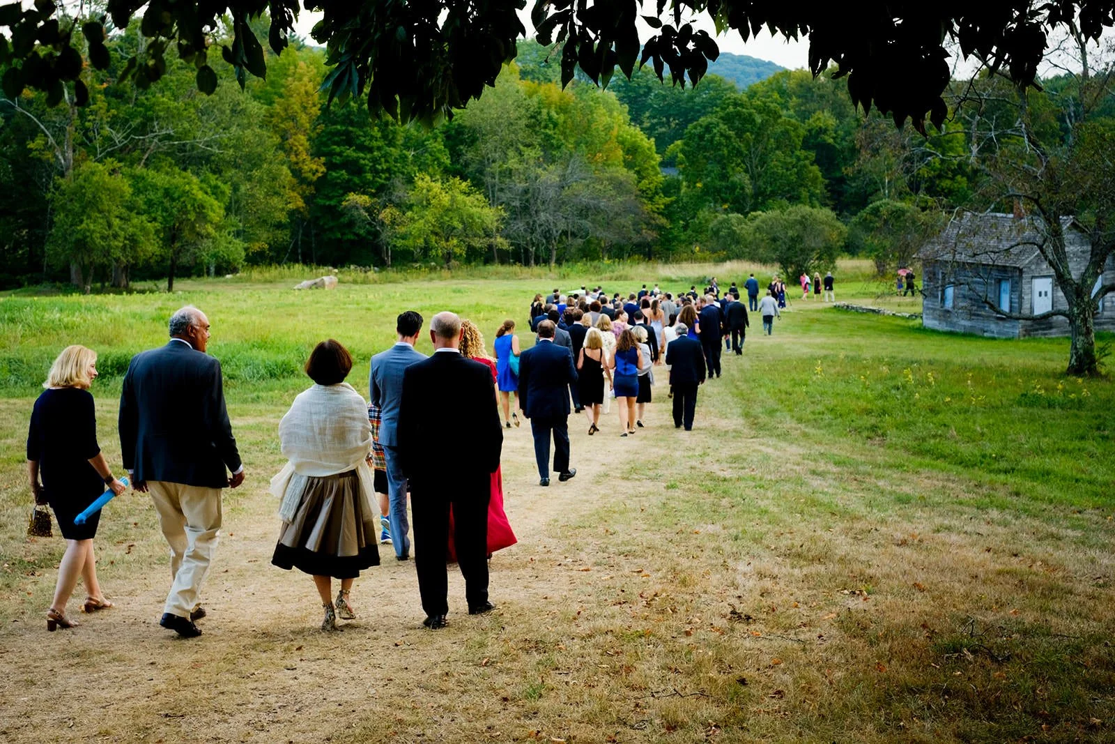 A group of people in formal attire walking through a grassy field towards a wooded area, with trees and hills in the background and a small wooden house on the right.