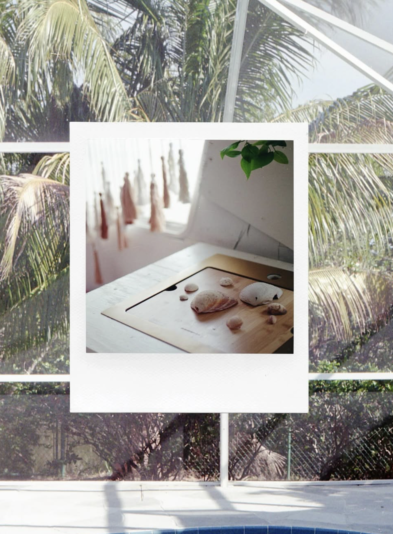 Screenshot 2025-03-19 at 10.45.22 AM.png