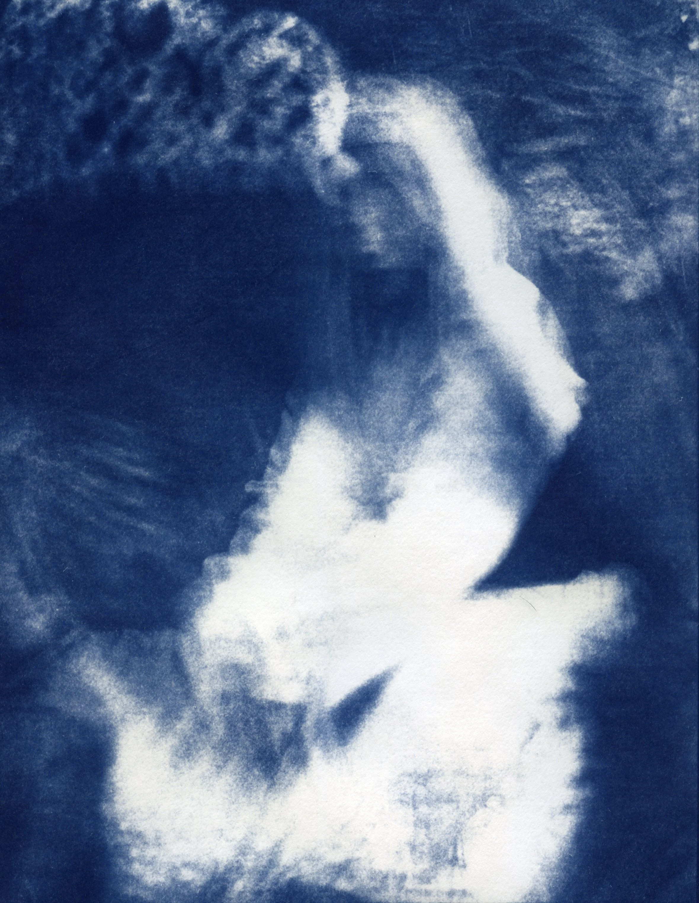 brae_cyanotype__scan20251105_13201466.jpg