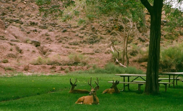 Screen Shot 2022-03-22 at 2.13.51 PM.png