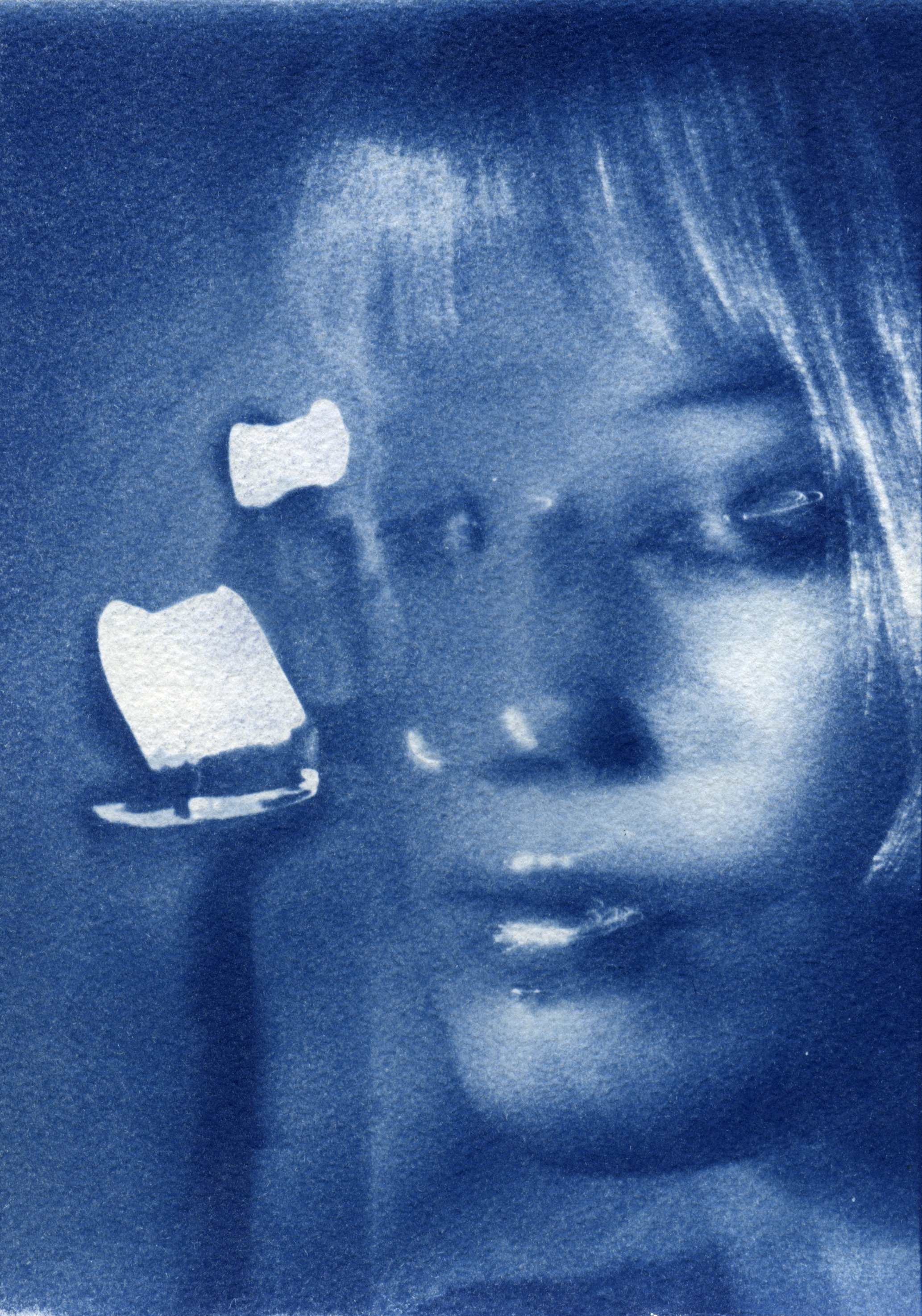 brae_cyanotype__scan20251105_13180409.jpg