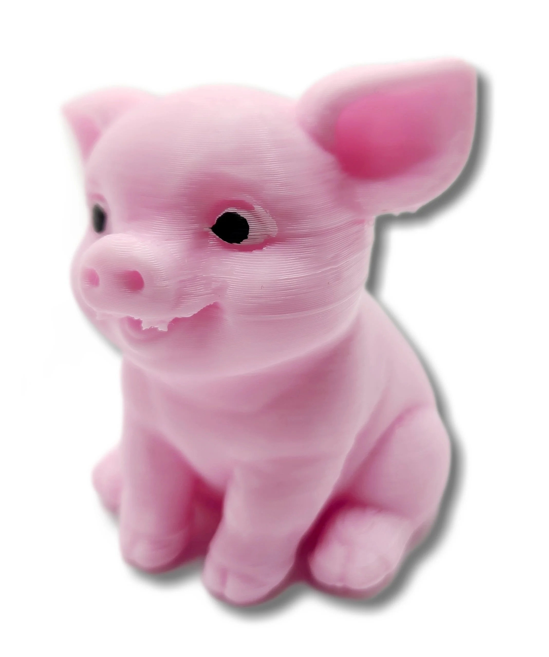 New Pig2.jpg