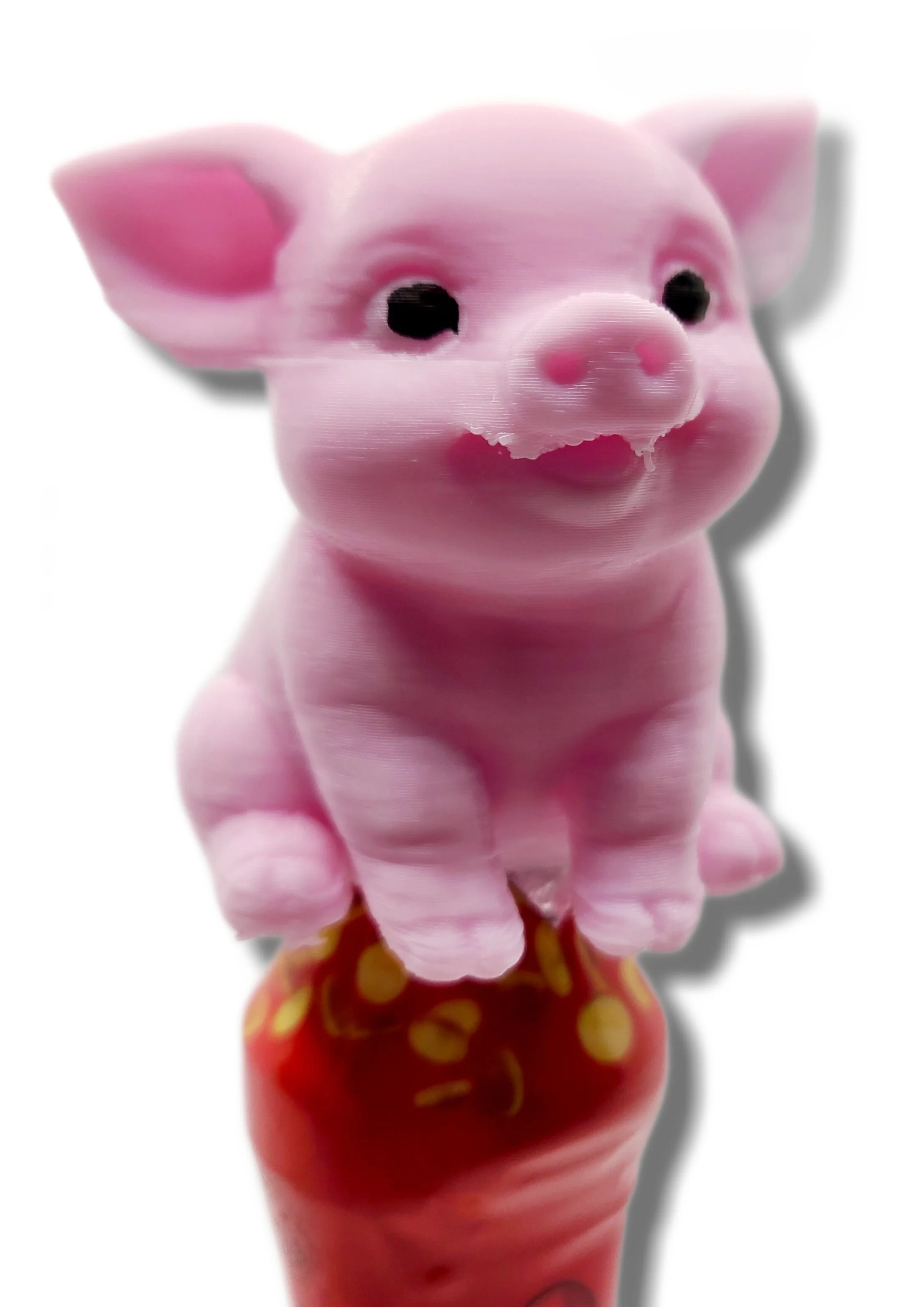 New Pig1.jpg