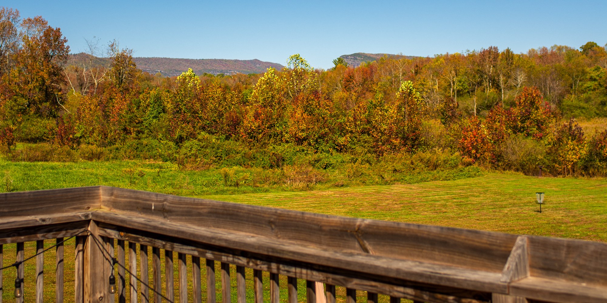 _DSC9066.jpg