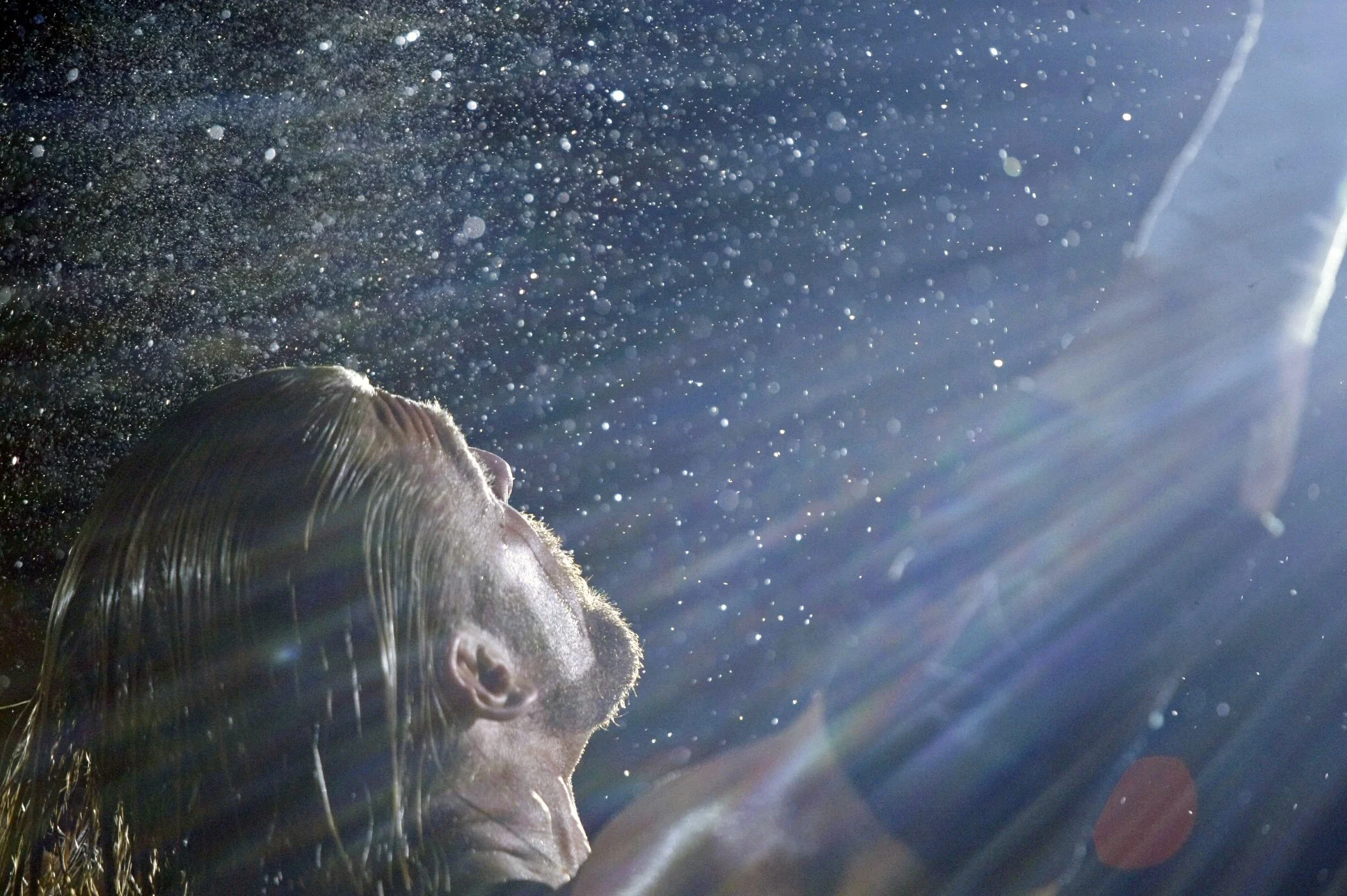 Dortmond_11152008ej_2329e copy.jpg