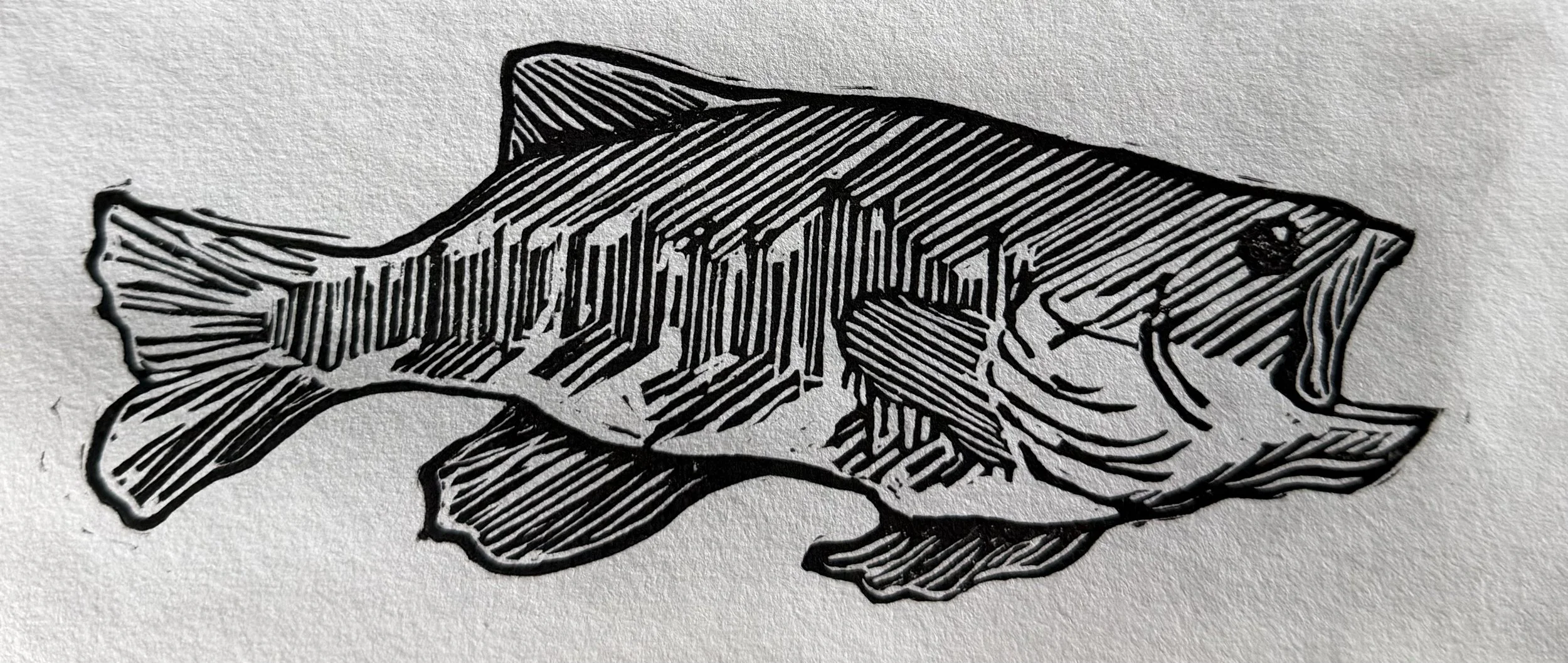 Bass Print
