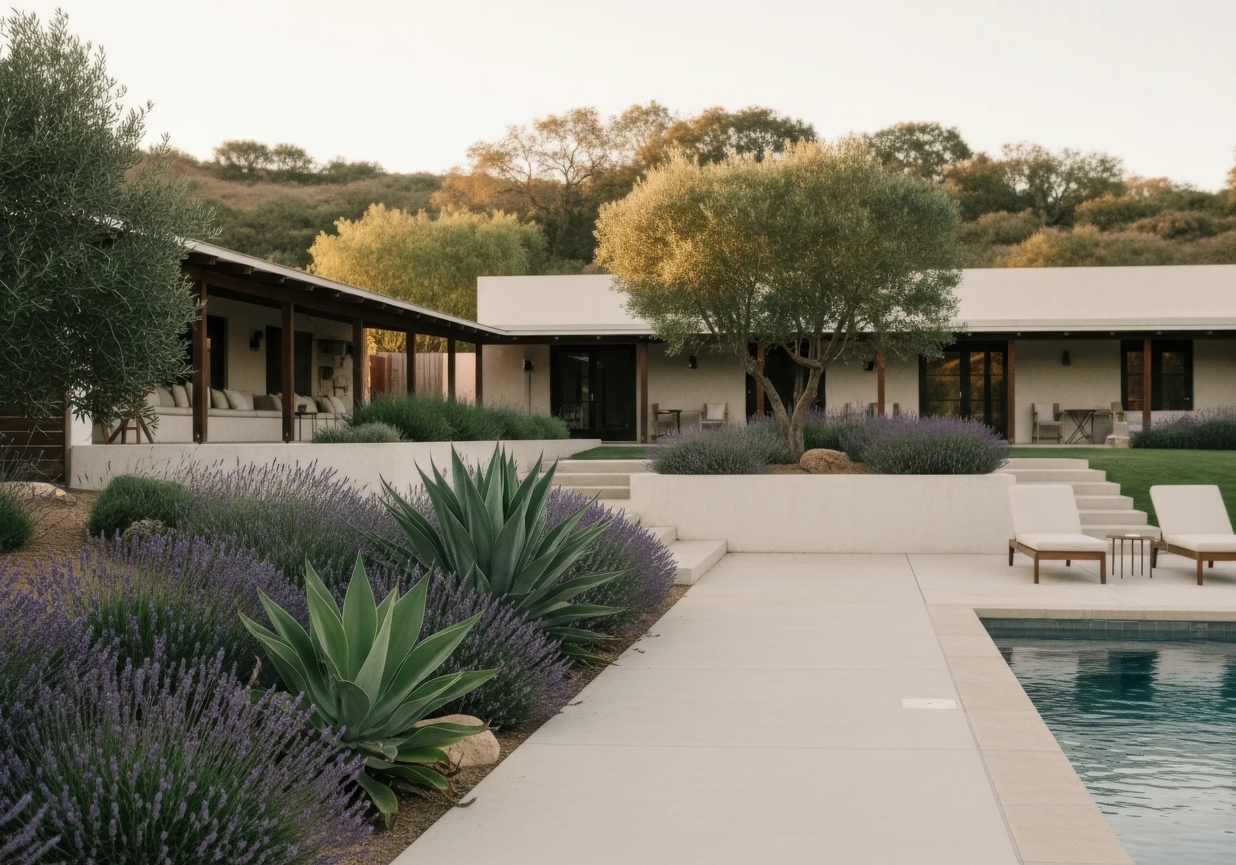 Modern house with outdoor pool, lounge chairs, surrounding desert-style landscaping, including agave plants, lavender bushes, and a central tree, with a hillside in the background.