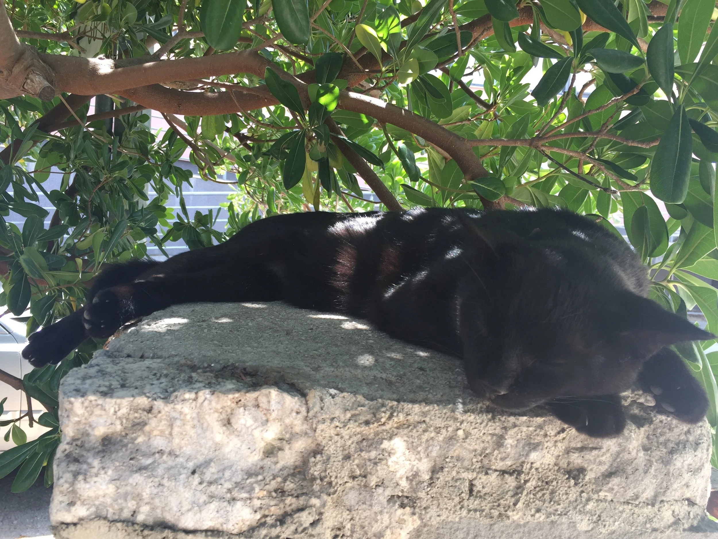 Overnight stay per day - Weekday