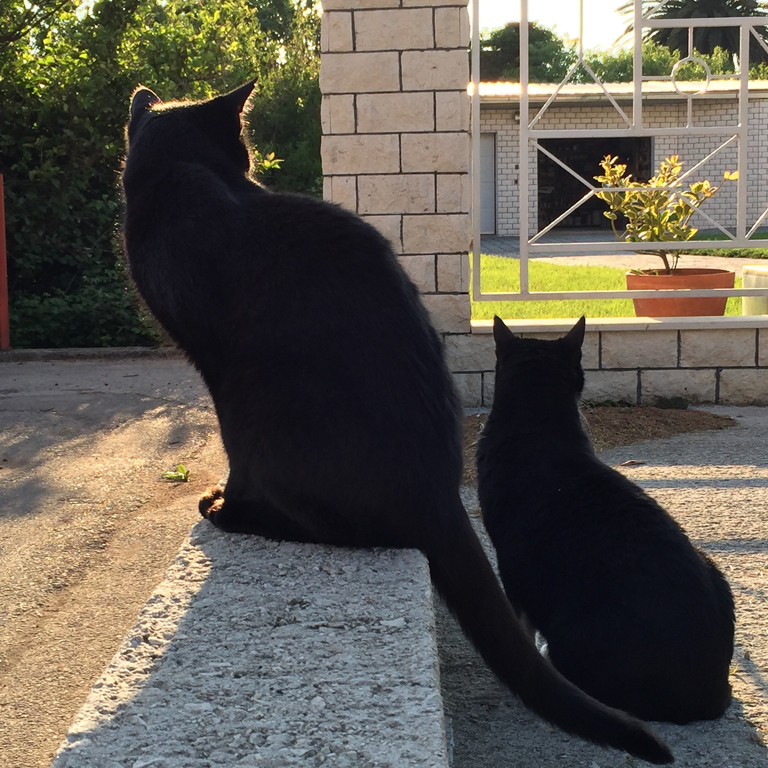 Two visits per day - Weekday