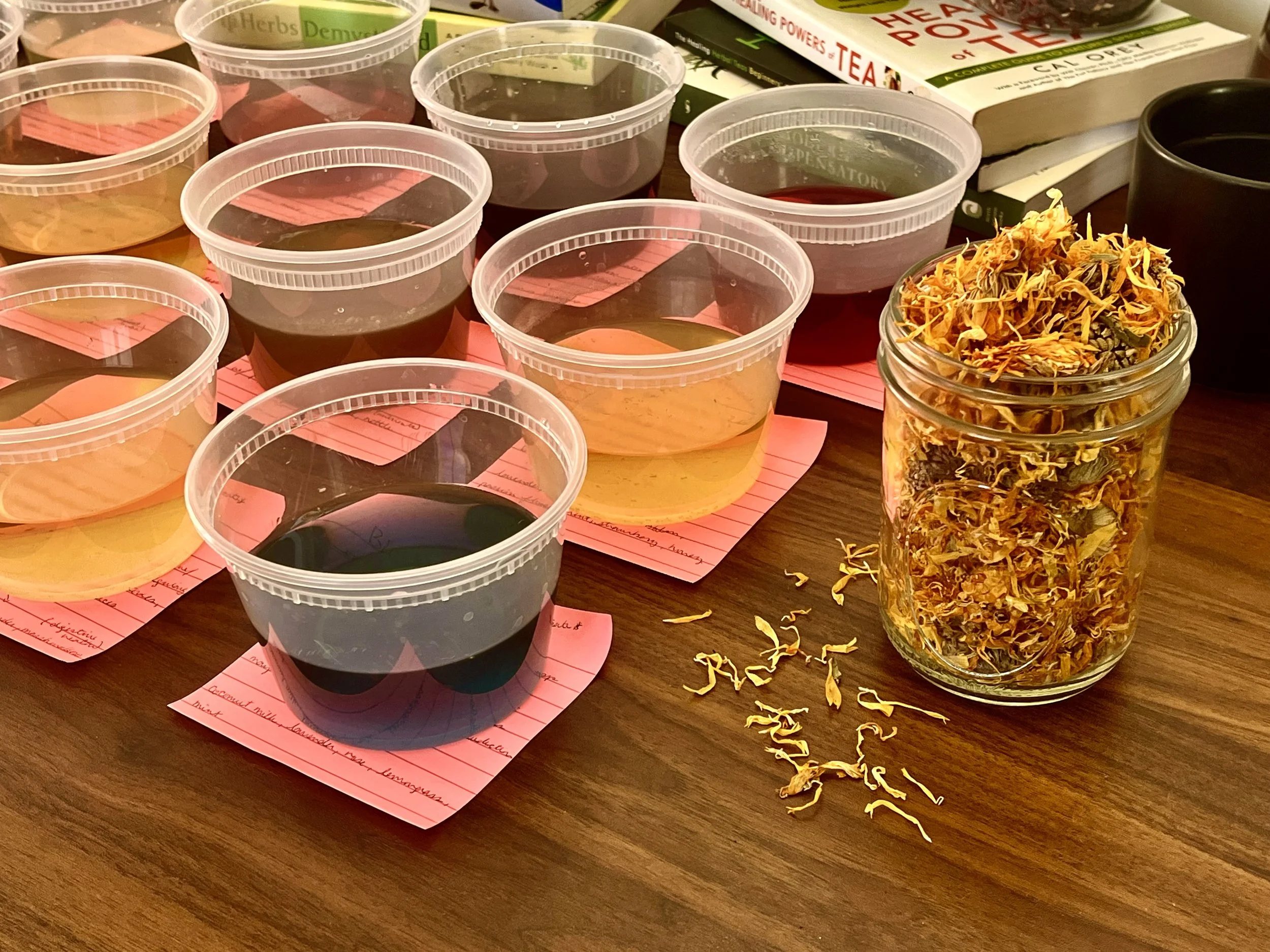 herbal tea blends samples with notes on taste, temp, steep time, and pairing underneath each brewed herb.