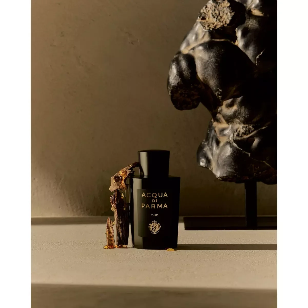 Acqua Di Parma - Oud