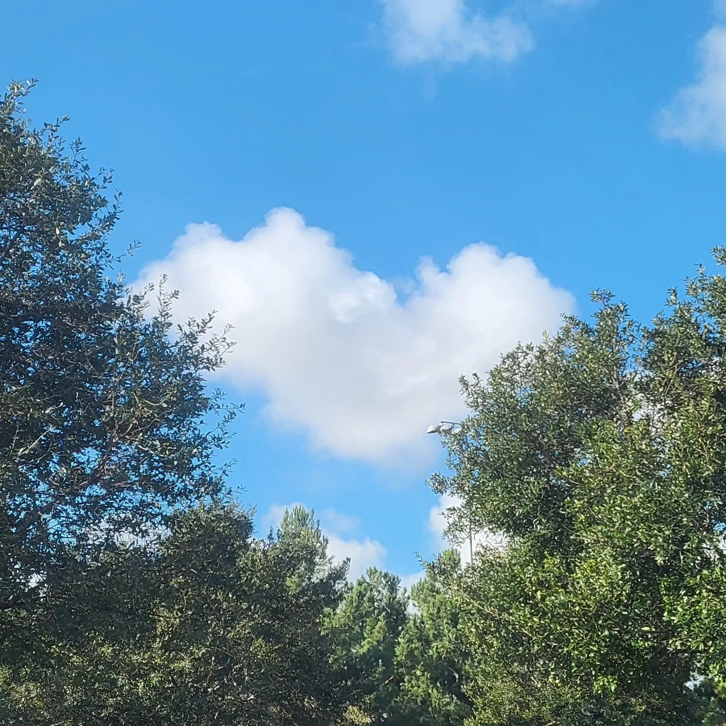 When the universe sends you a sign. ❤️ 
#loveiseverywhere #heartcloud #heartinthecloud #naturesart #loveinnature #cloudmagic