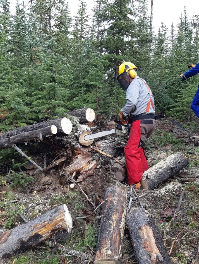 Wood cutting 4.jpg