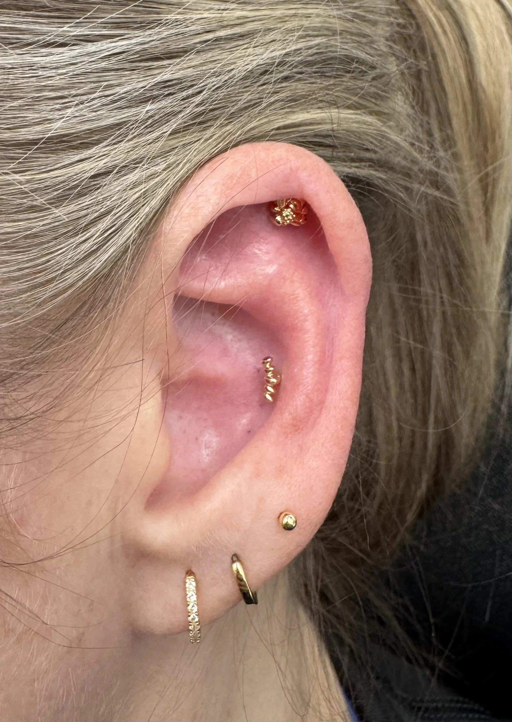 IMG_3771 Cassia Walker.jpeg