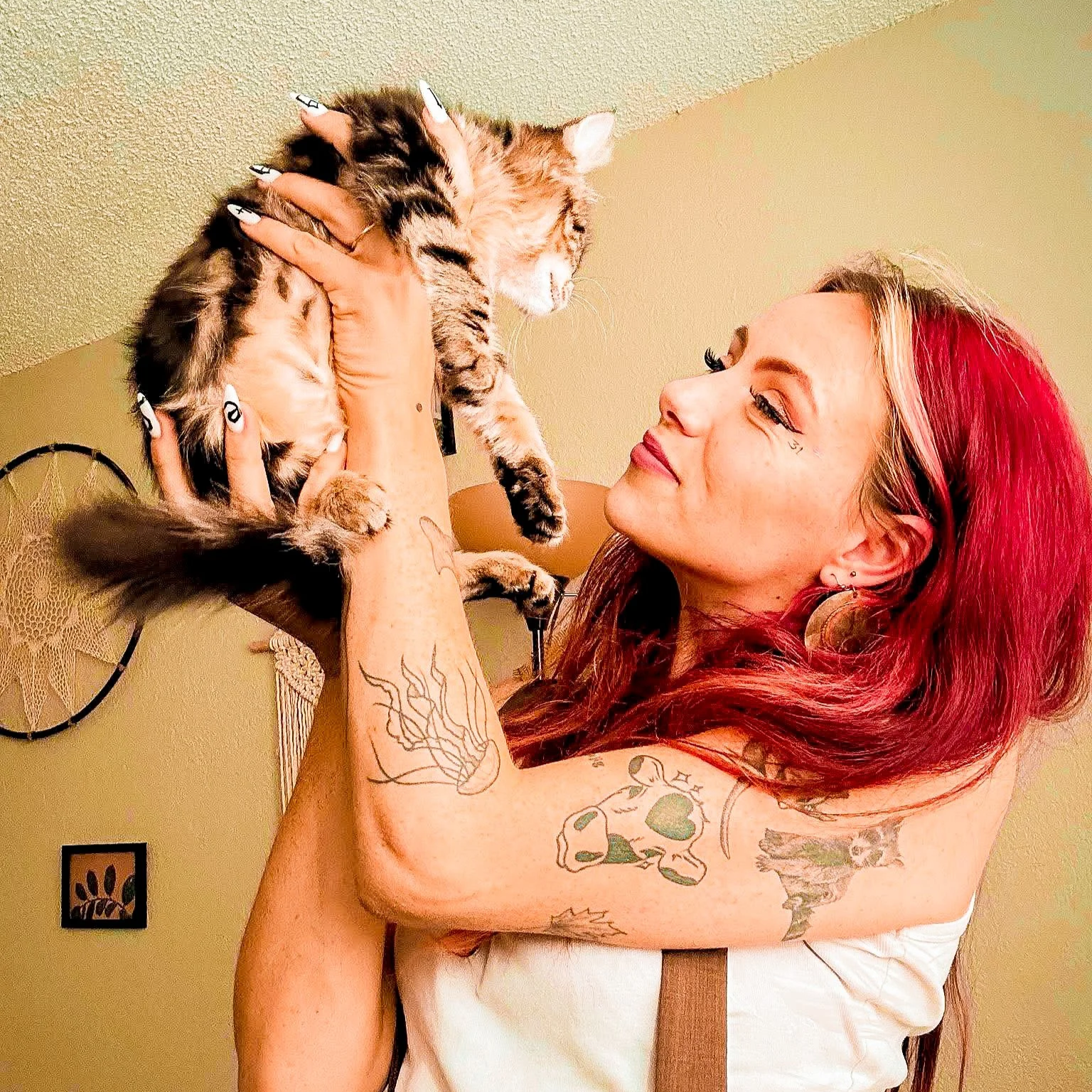 Pet sitter Harley with tabby kitten