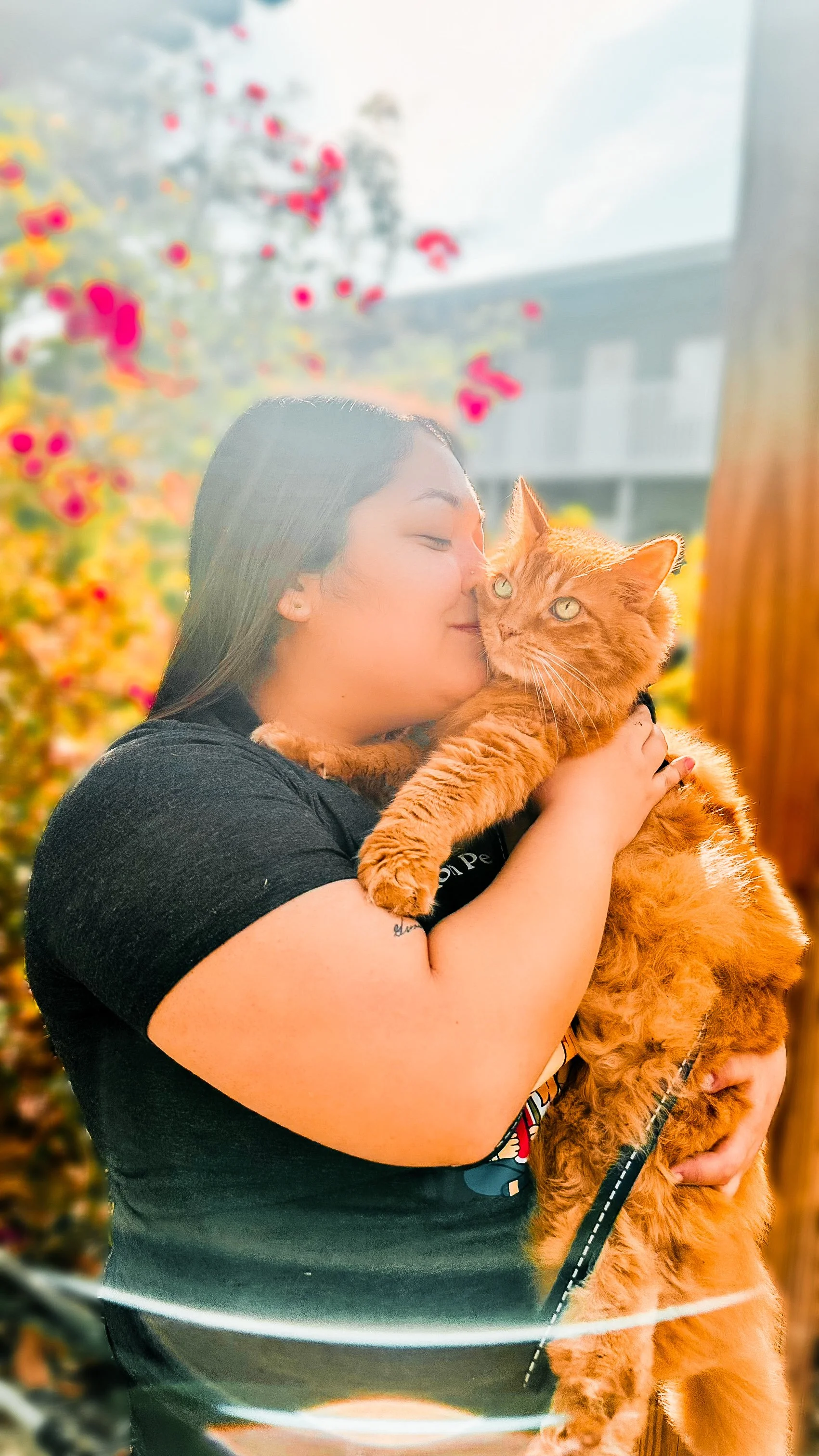 Emily pet sitter with orange fluffy cat outside in the sunshine