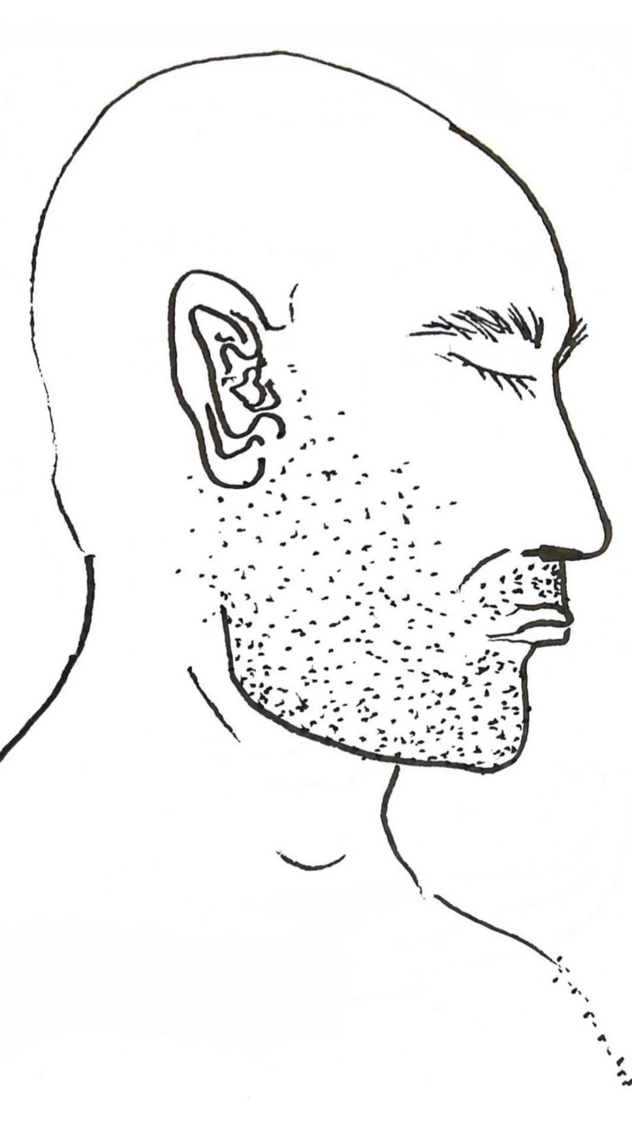 KUPRIIANOVA AKSINIA_drawings_35.jpg