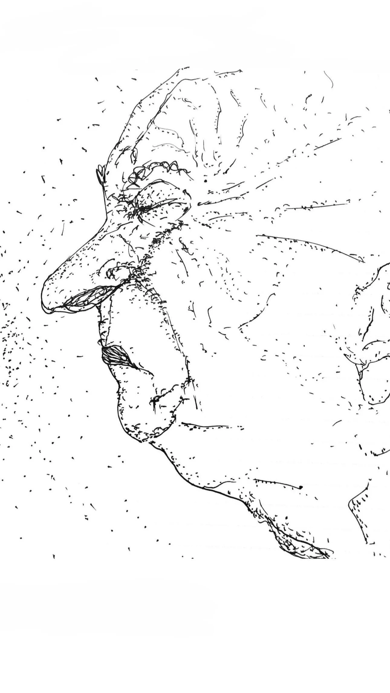 KUPRIIANOVA AKSINIA_drawings_4.jpg