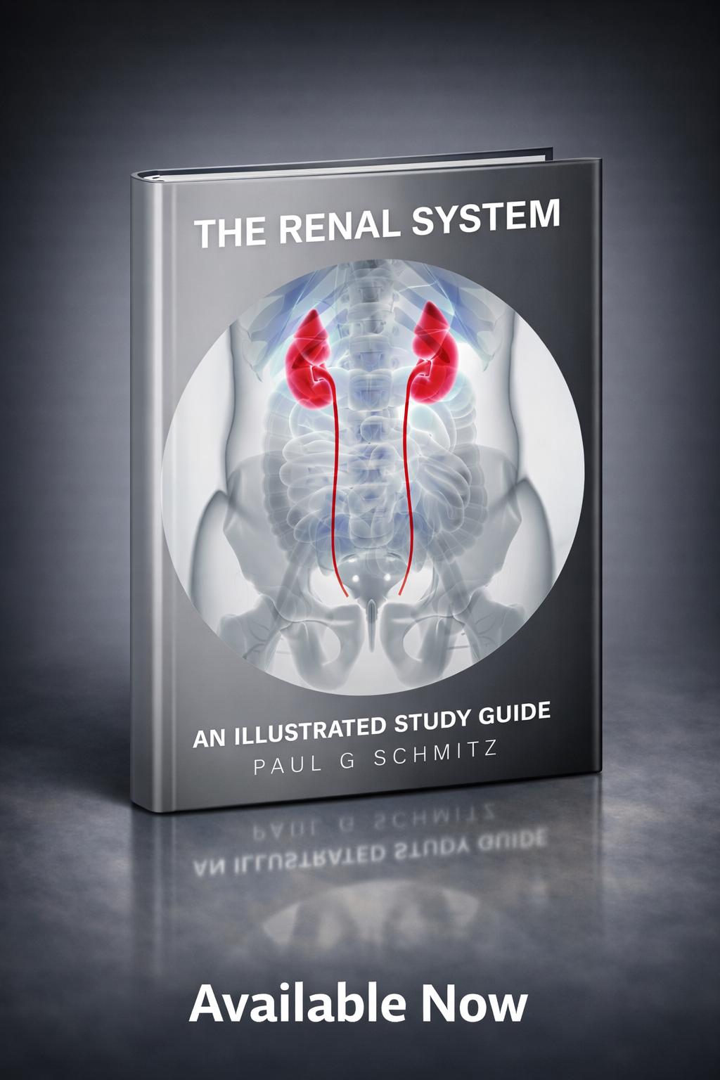 Promotional image of the book The Renal System: An Illustrated Study Guide by Paul G. Schmitz, showing a gray cover with an anatomical illustration of the urinary system and kidneys inside a circular frame, set against a blue-gray studio background