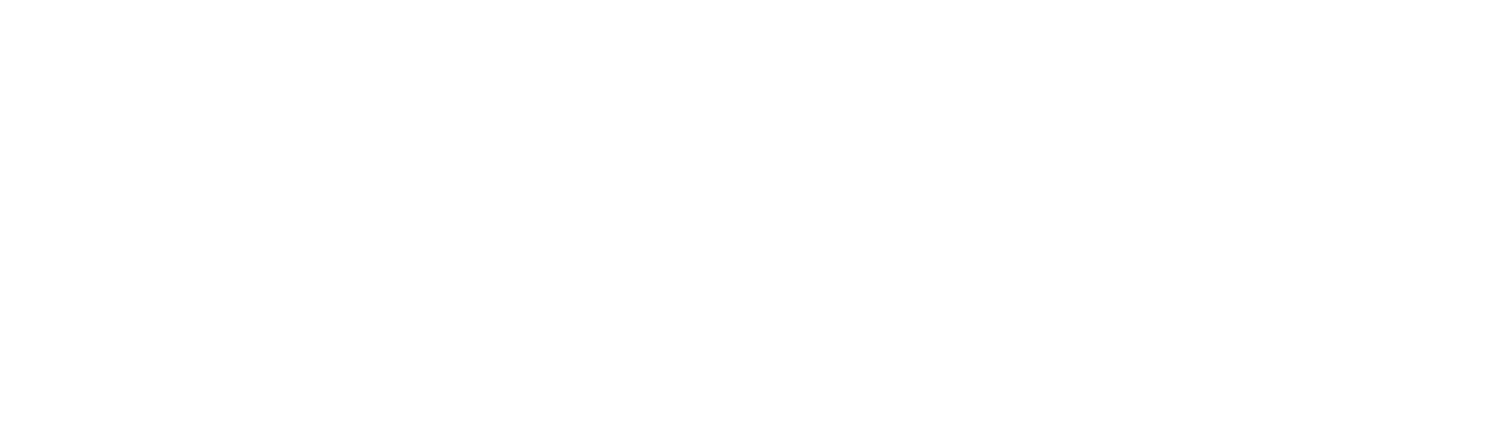 The Blue Bird Healing