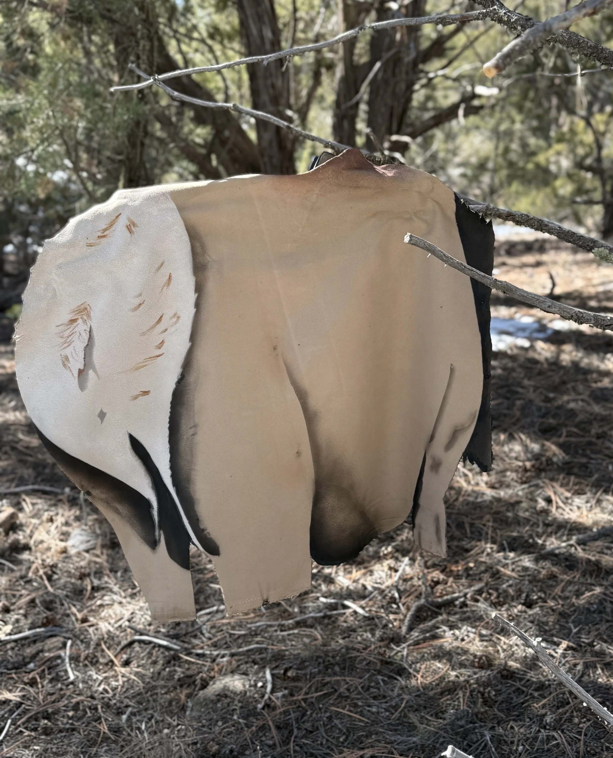 The Caddis Cow