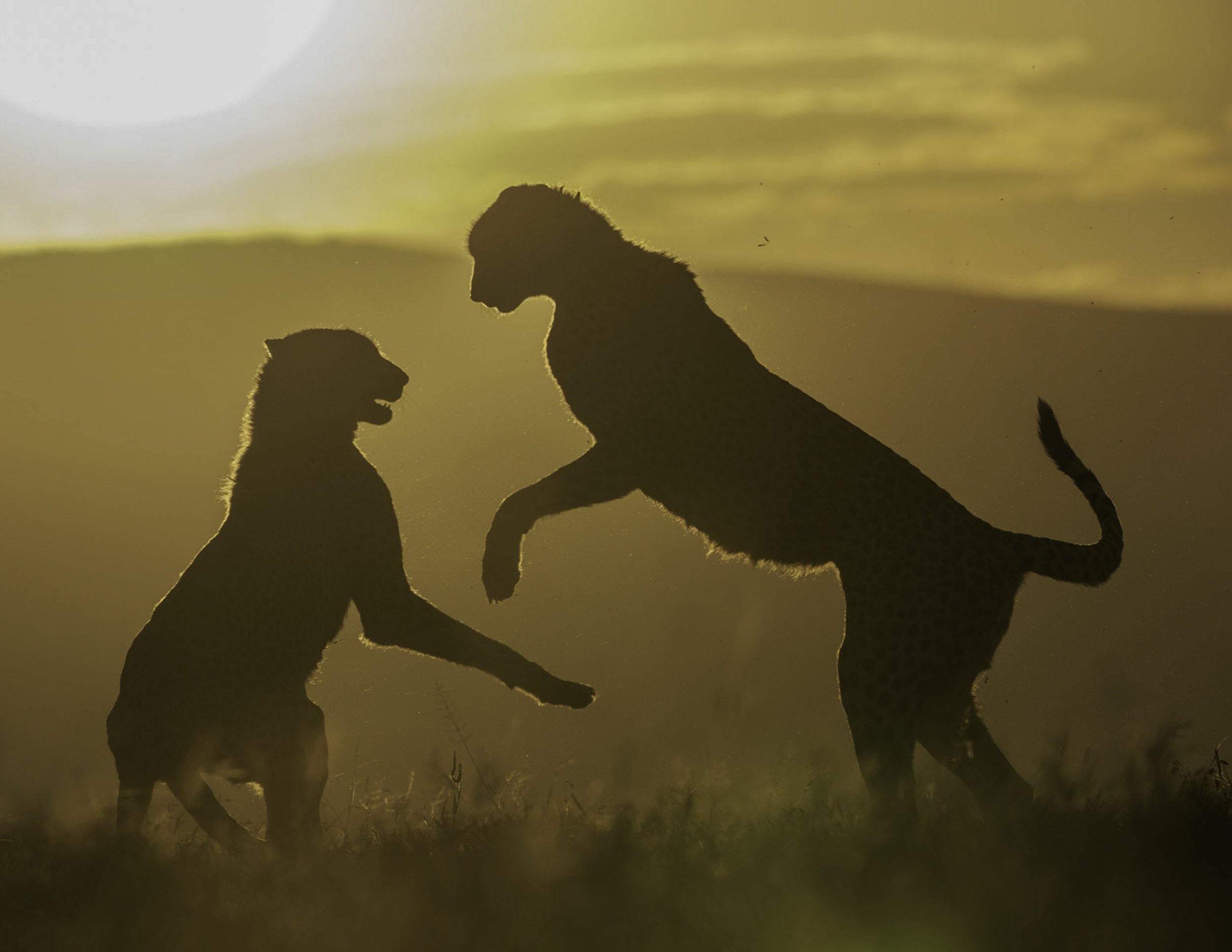 Boys will be Boys-Fine Art Photography-Warren Henry Lewis.jpg