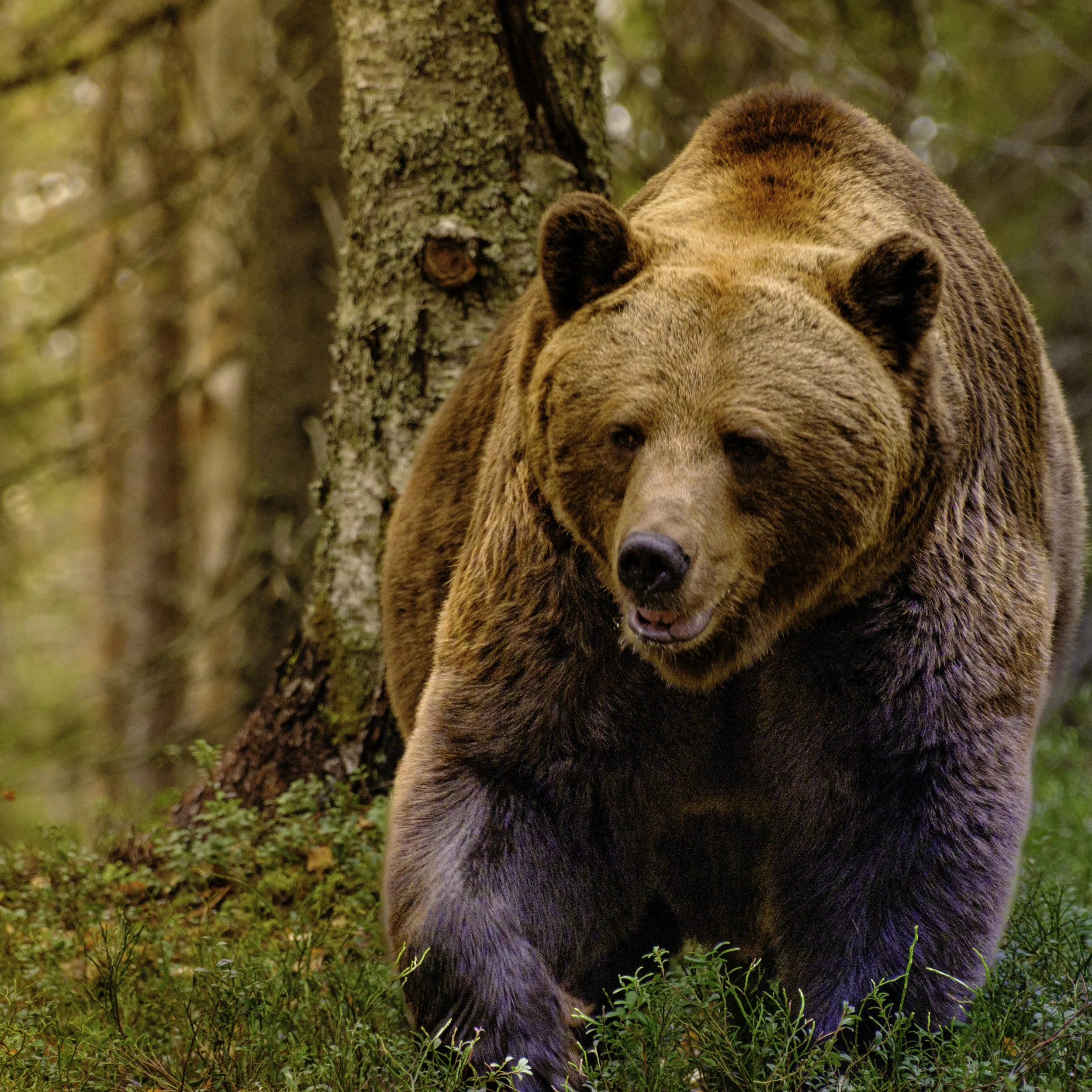 Way Too Close-Fine Art Photography-Warren Henry Lewis.jpg