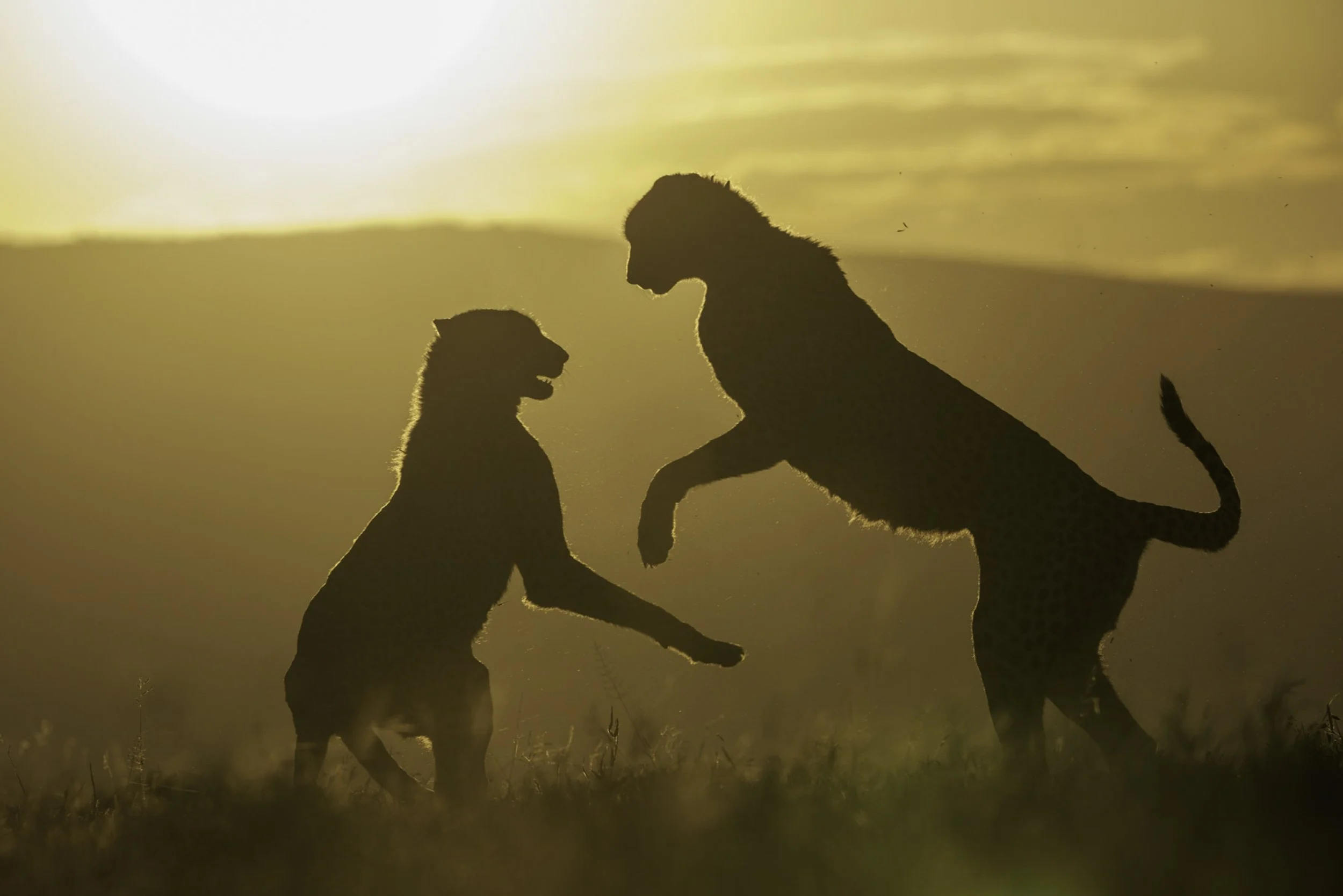 Boys will be Boys-Fine Art Photography-Warren Henry Lewis.jpg