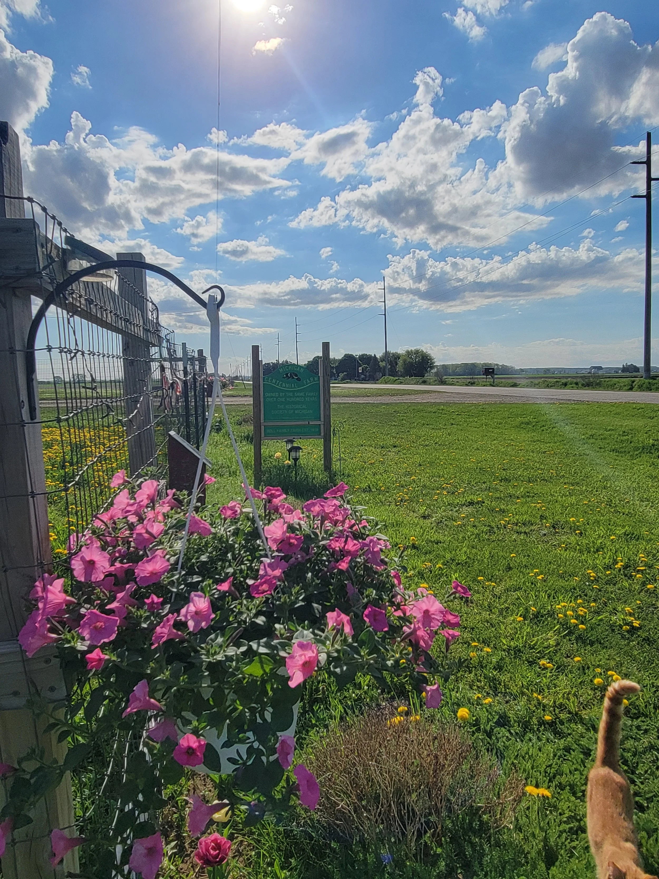About the Farm: A Century of Roots in Michigan's Green Thumb