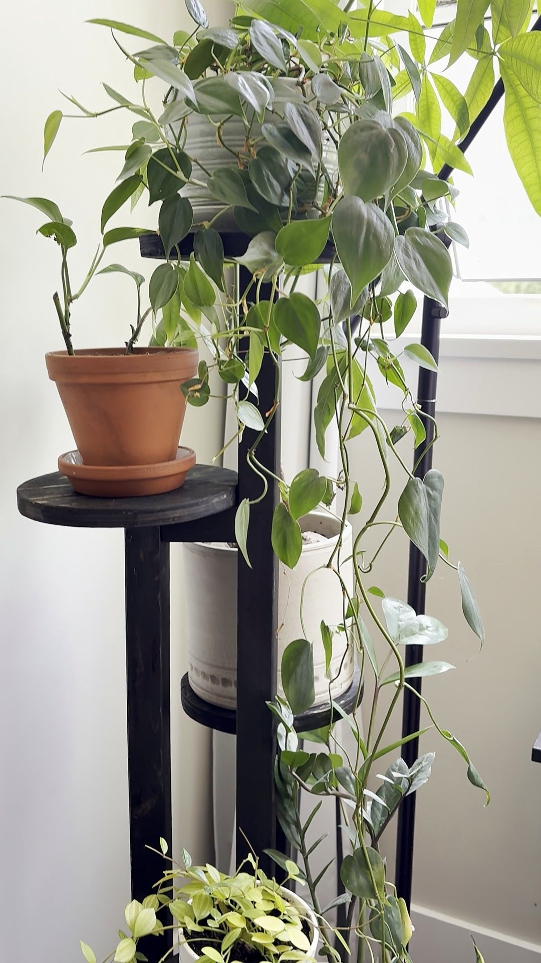 DIY Tiered Plant Stand: A Simple Woodworking Project for Plant Lovers
