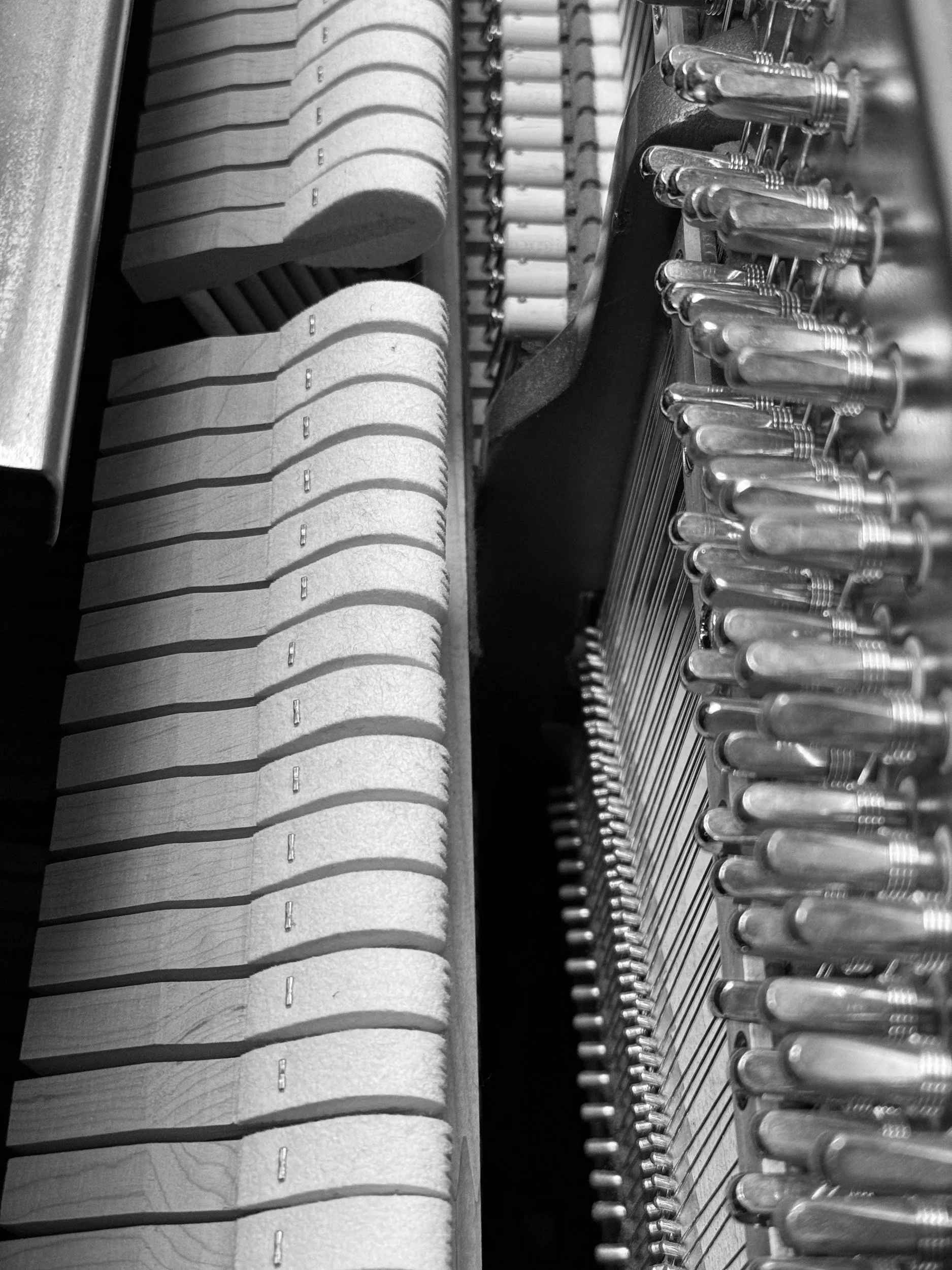 Close-up of the interior strings, hammers, and tuning pins of a piano in black and white.