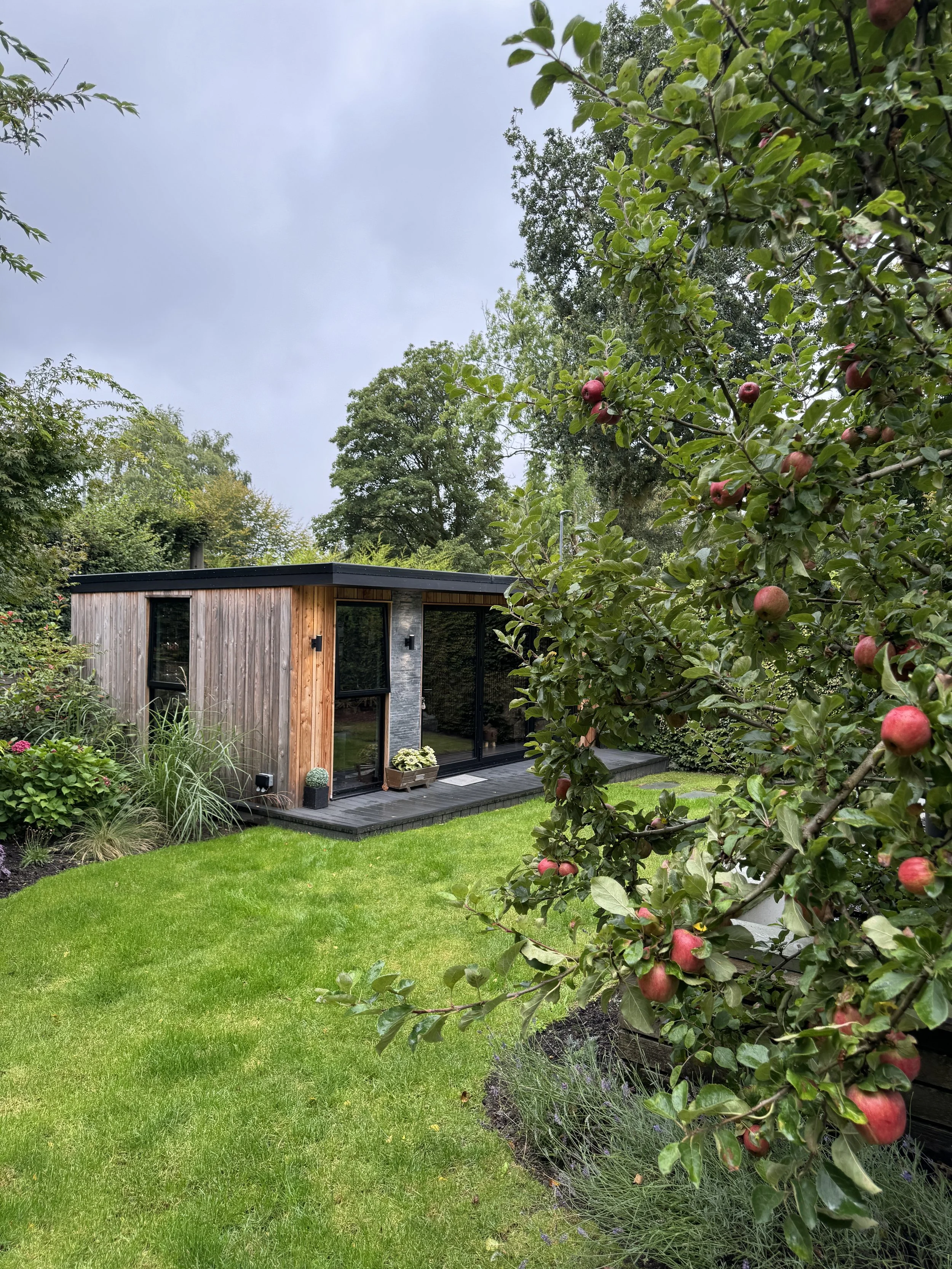 A modern backyard with a small wooden house, green grass, and apple trees bearing ripe apples.