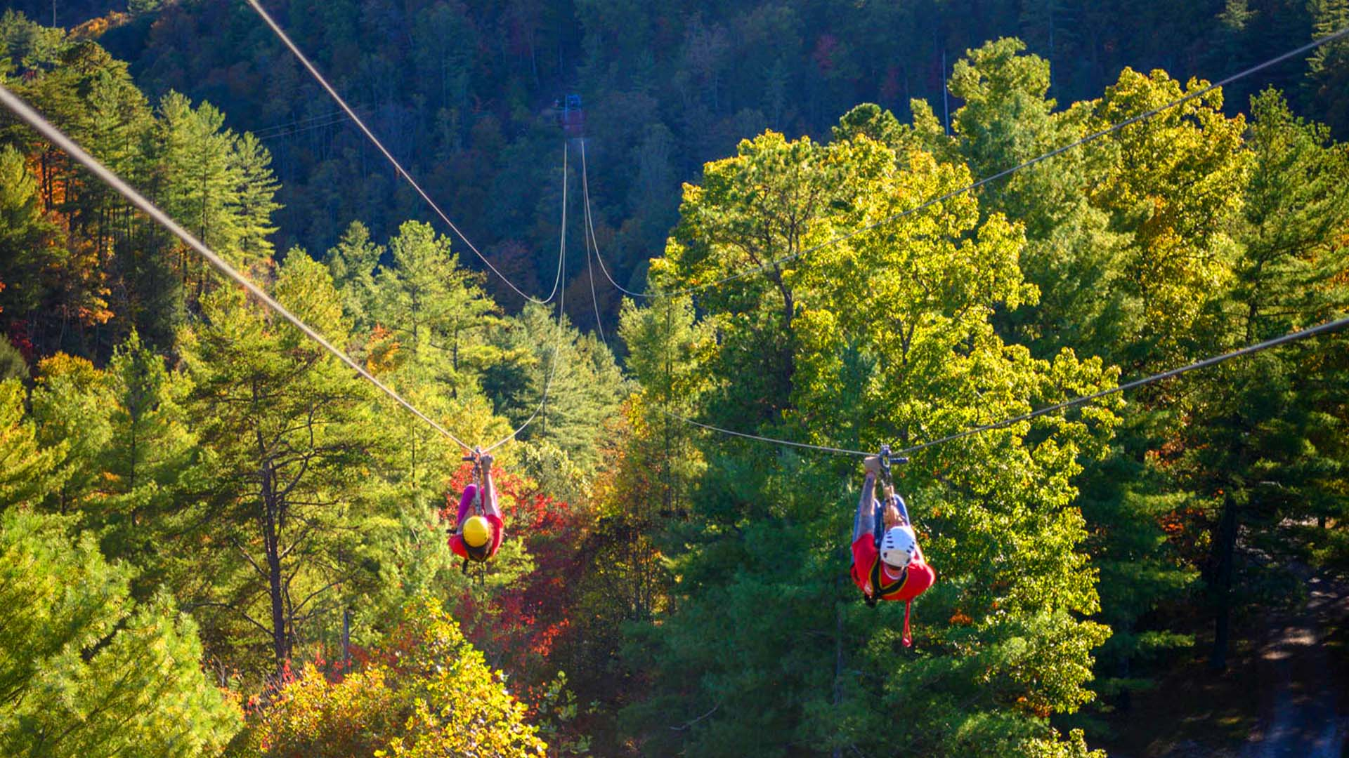 Red River Gorge Zipline