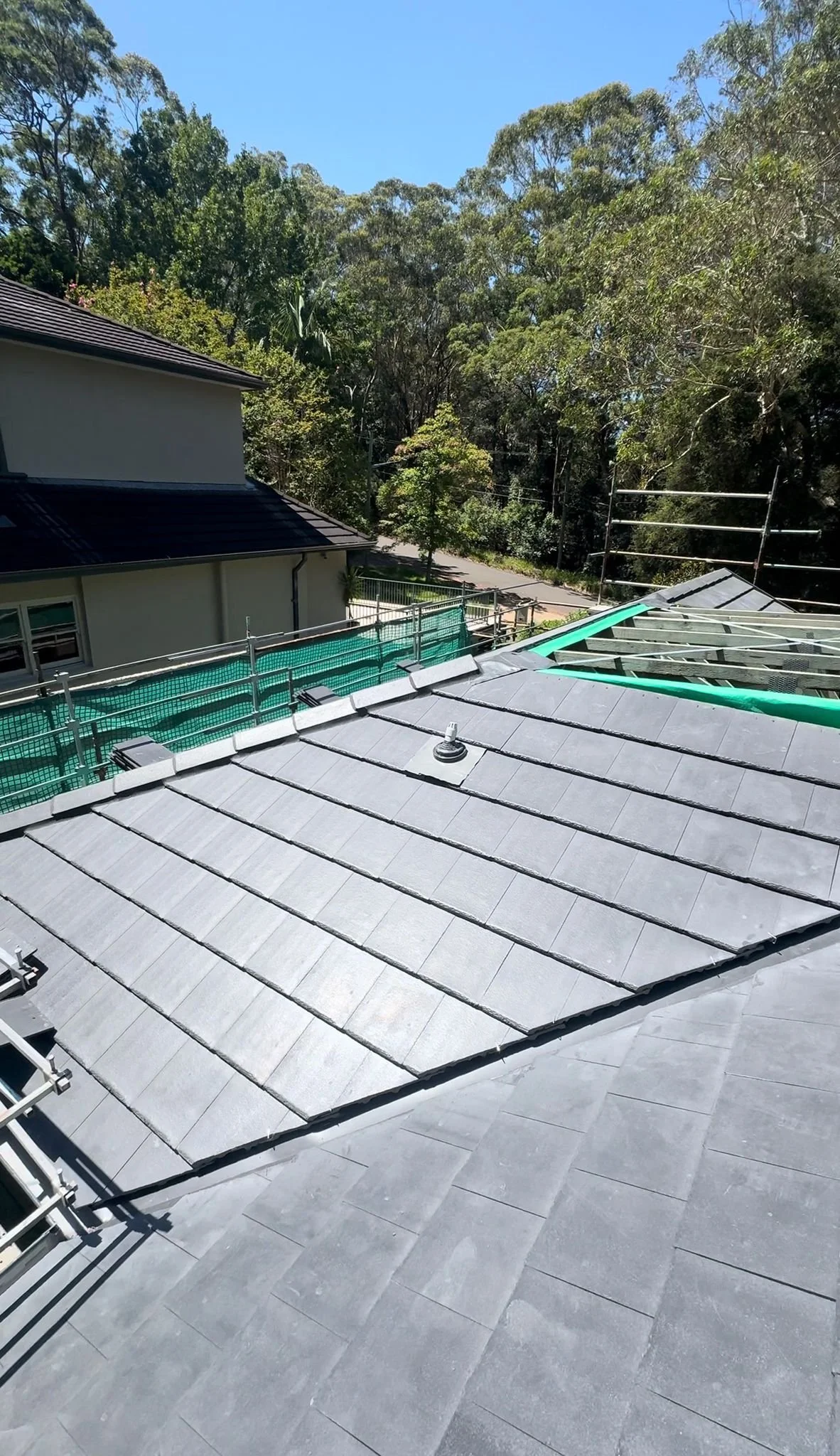 WhatsApp Image 2026-03-03 at 07.37.53 (1).jpeg