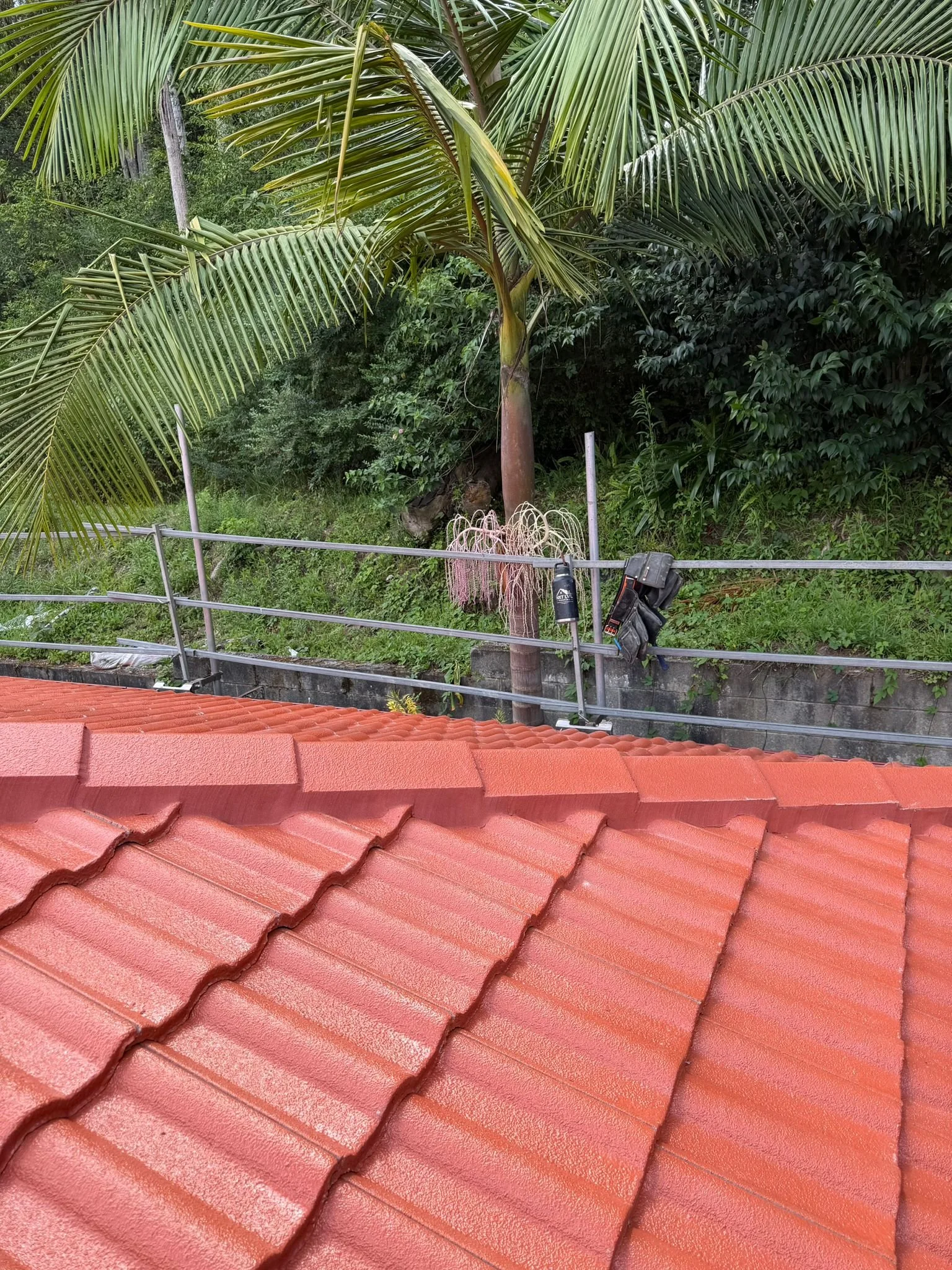 WhatsApp Image 2026-03-03 at 07.37.56 (1).jpeg