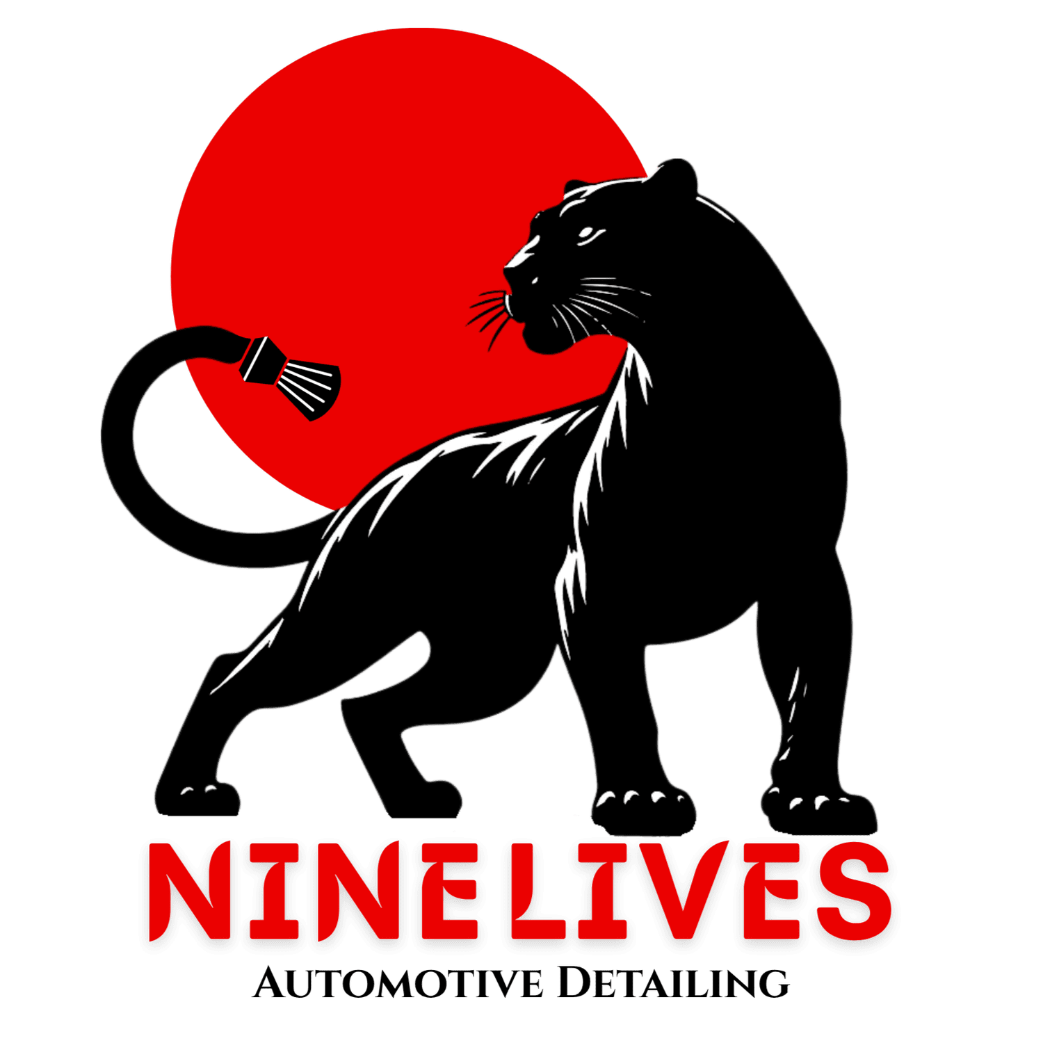Nine Lives Detailing