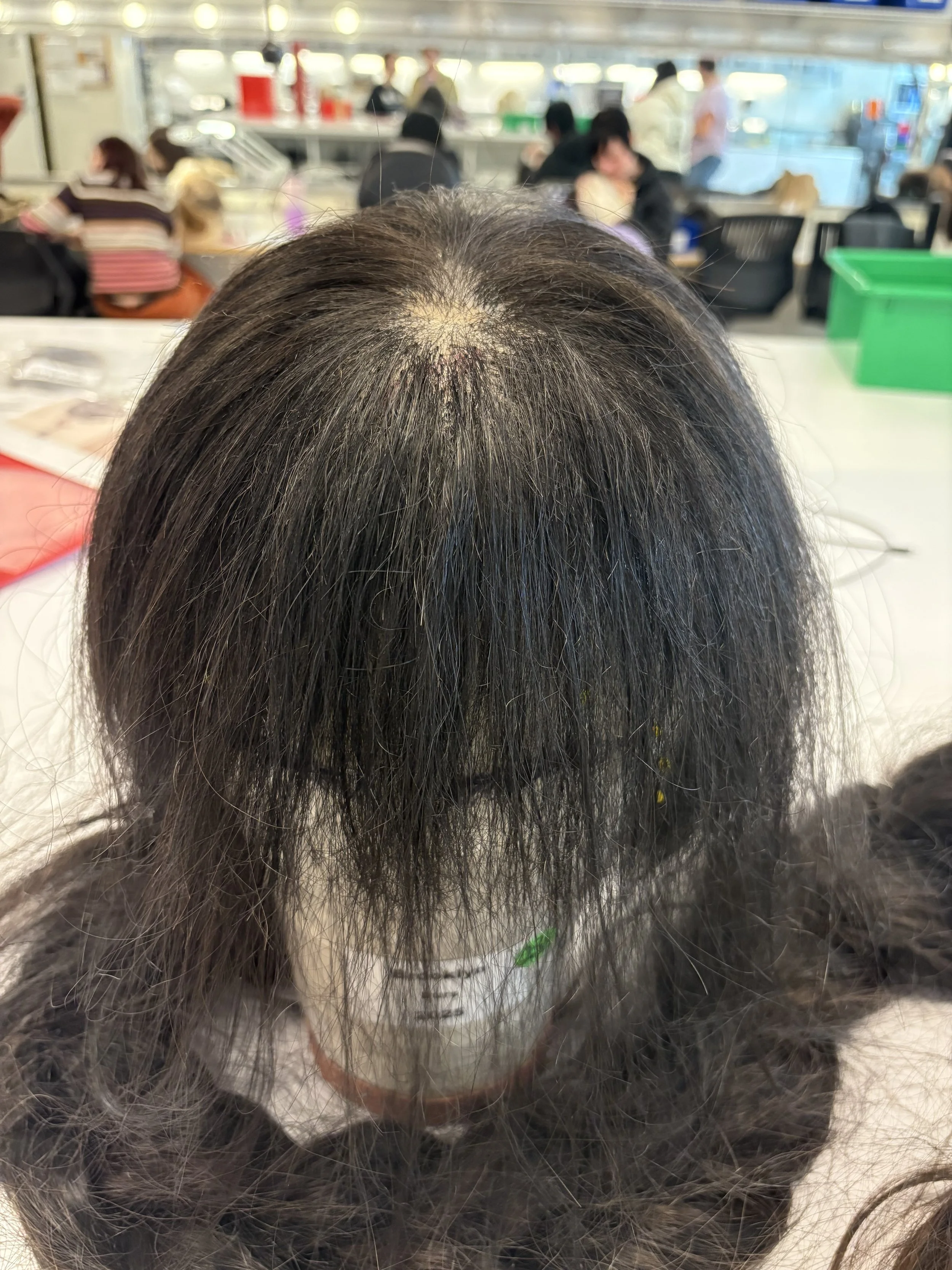 Custom Built Wig With Hand Tied Front: Design by Erin Lunsford