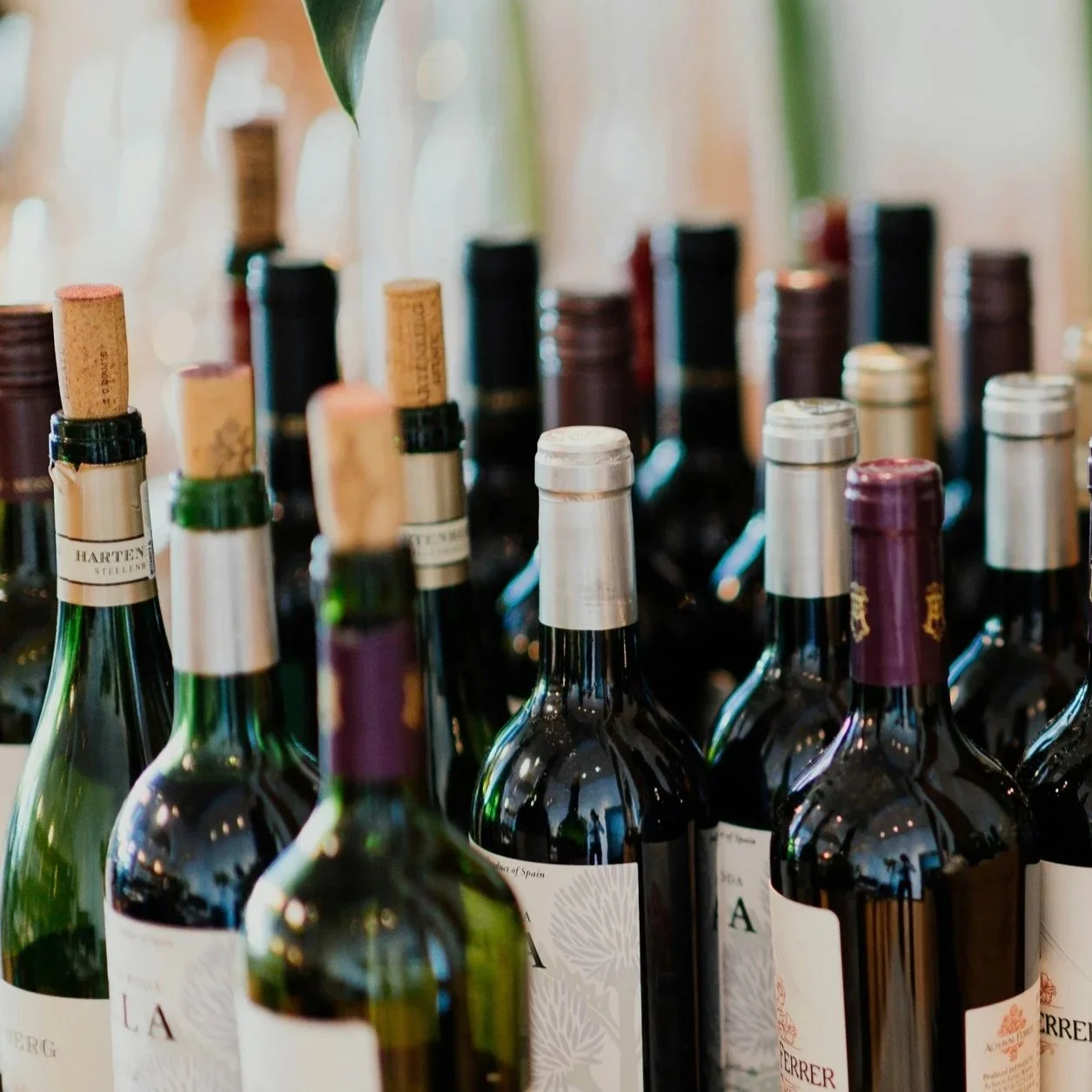 Best Wine Preservation System (2026 Guide): What Actually Works