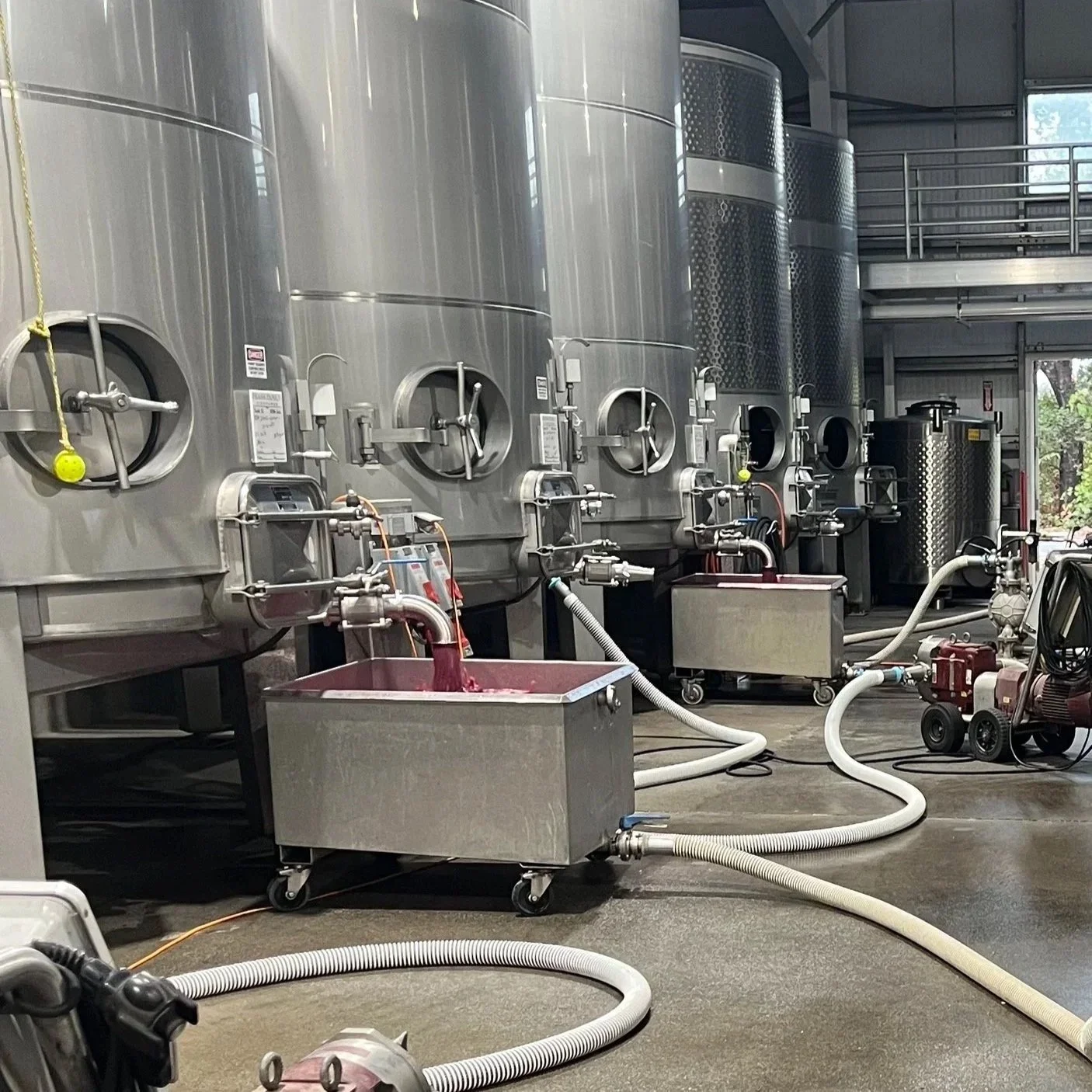 What Happens After Grapes Are Picked? Inside Wine Harvest Season