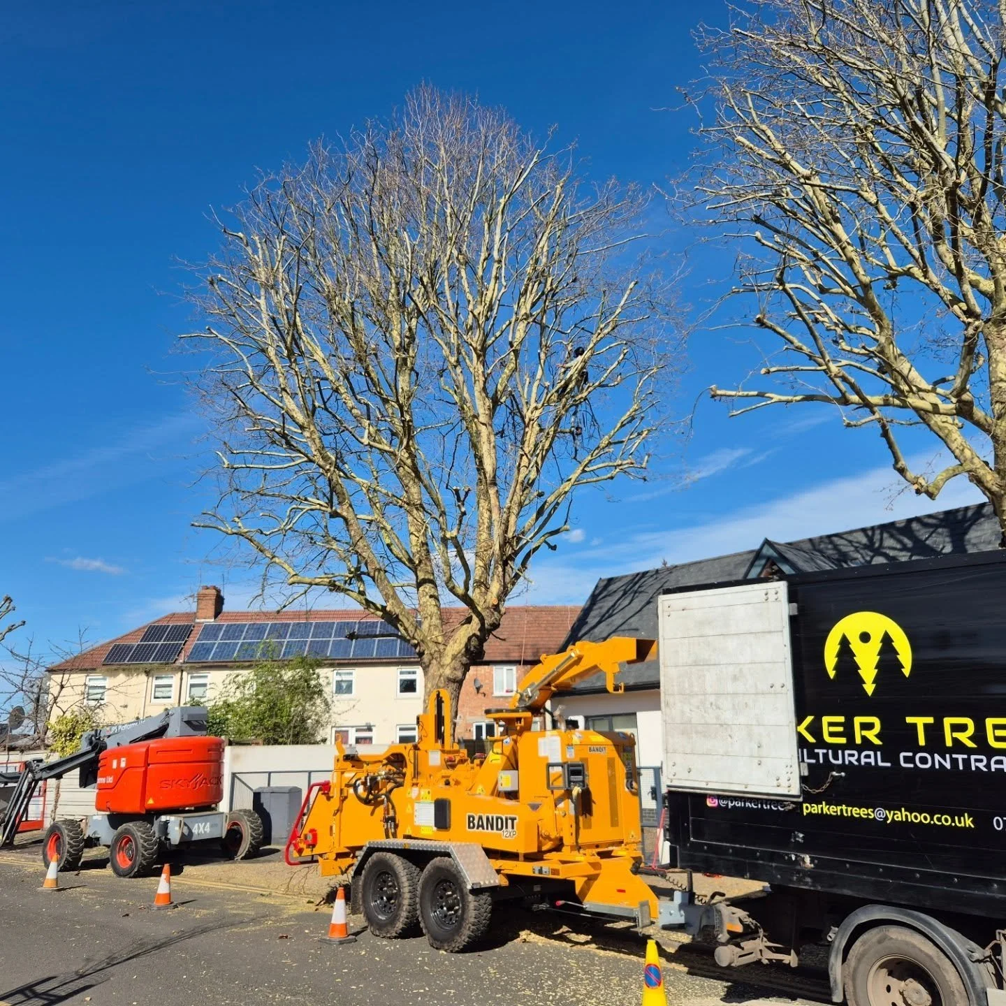 2 large TPO'd London Plane trees reduced by 3m. Great work by the team. JPS Platforms providing the MEWP as usual. 

Reduced and tidied up in a day. 💪🌞

#arborist #treework #banditchippers #arblife #london