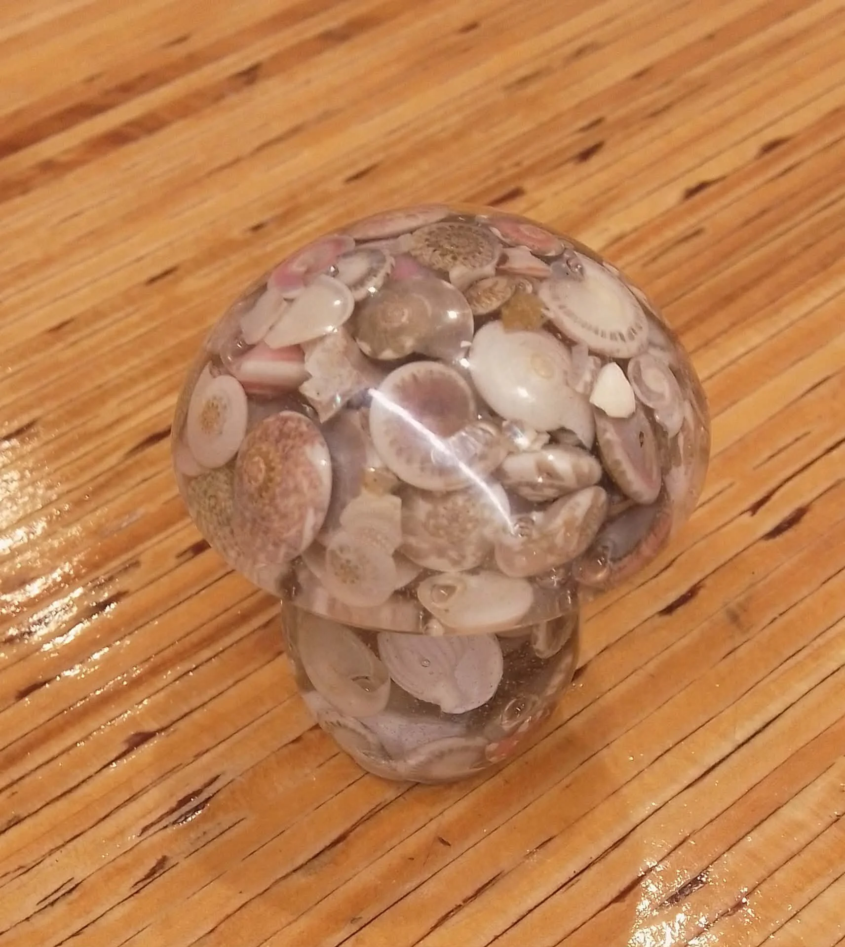 No. 4 - Resin Mushroom