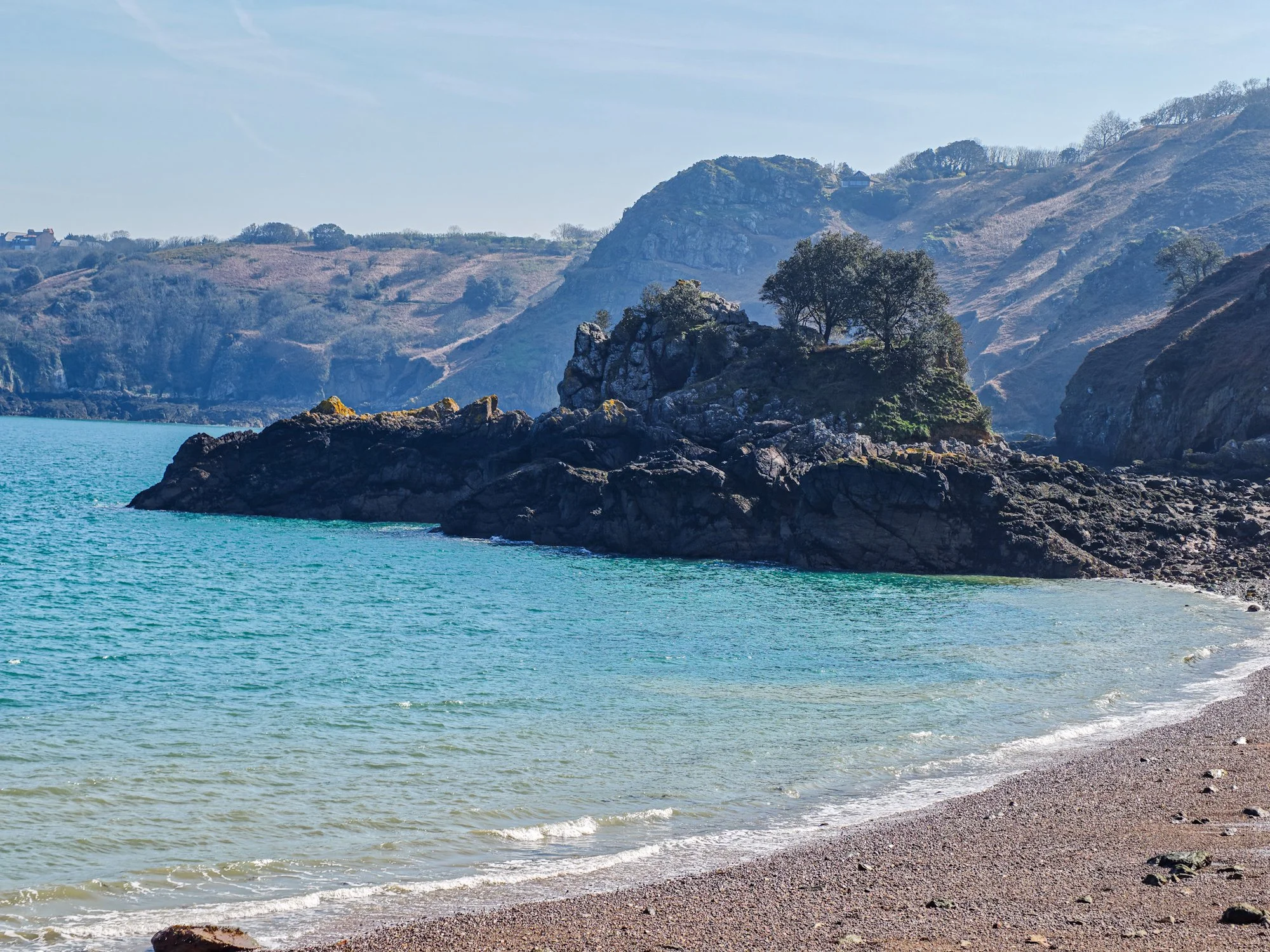 Beef &amp; Horseradish Sauce