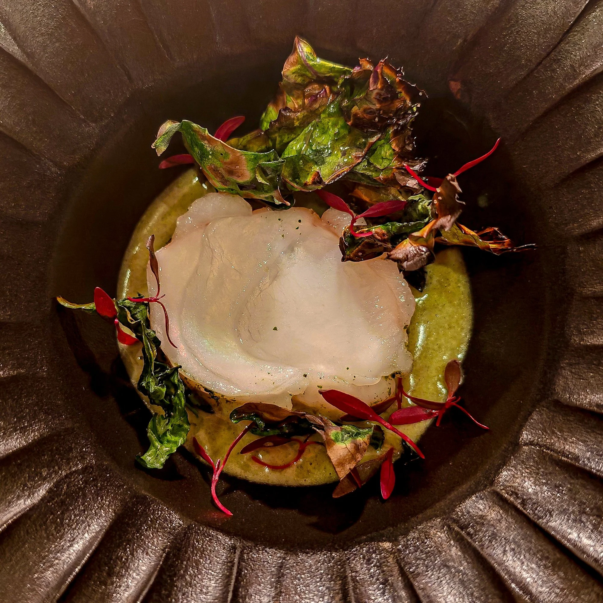 260510_Missive_Bloomsbury_Aulis_01.jpg