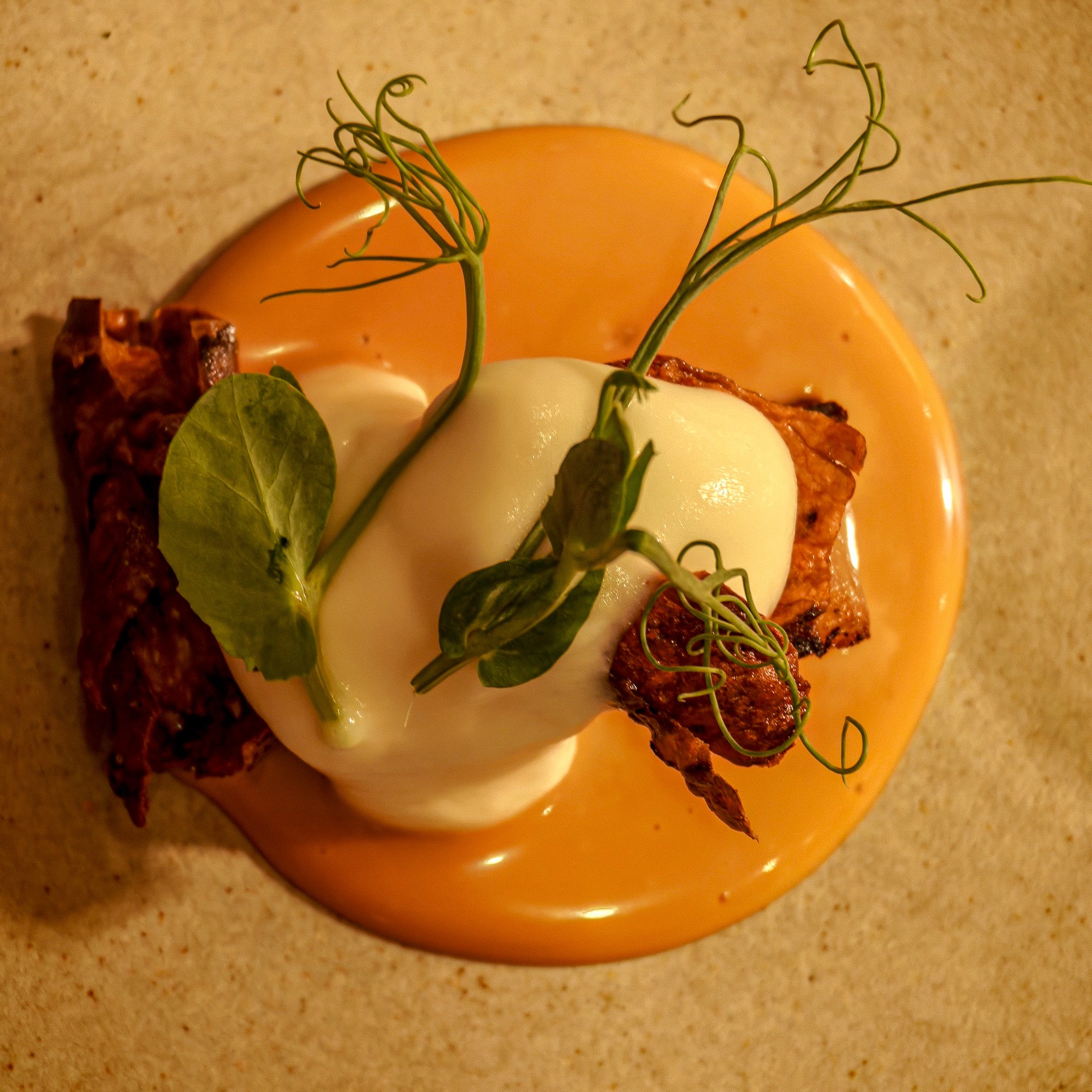 260510_Missive_Bloomsbury_Aulis_03.jpg